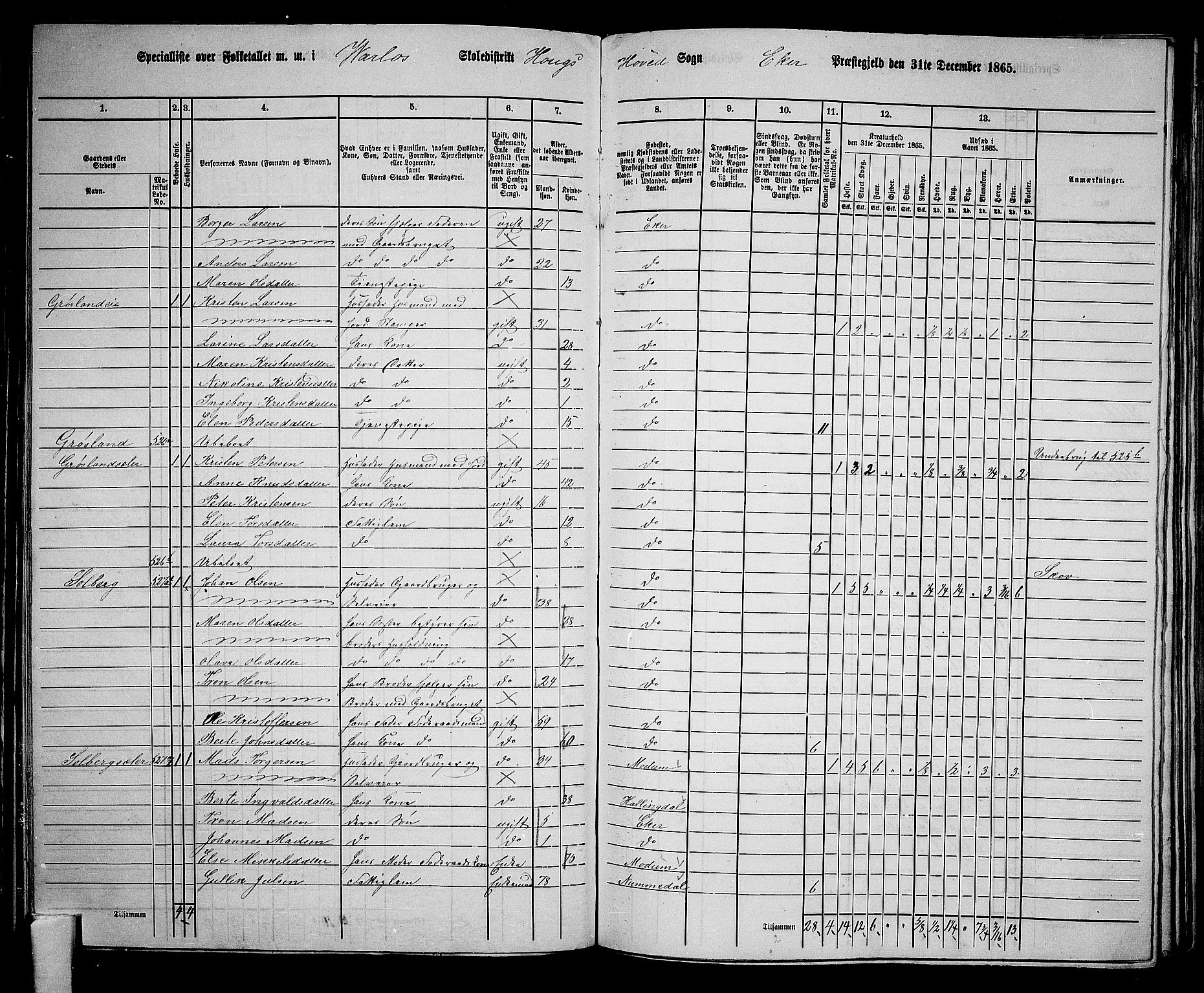 RA, 1865 census for Eiker, 1865, p. 142