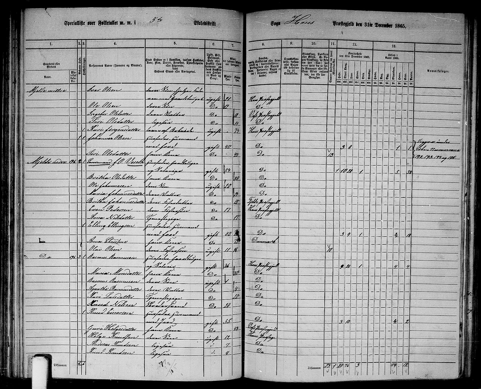 RA, 1865 census for Haus, 1865, p. 96