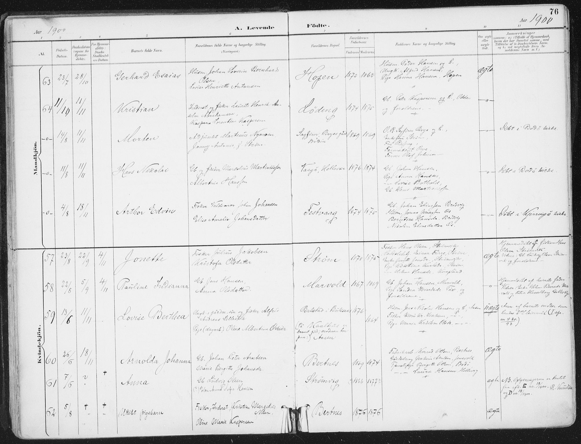 Ministerialprotokoller, klokkerbøker og fødselsregistre - Nordland, AV/SAT-A-1459/802/L0055: Parish register (official) no. 802A02, 1894-1915, p. 76