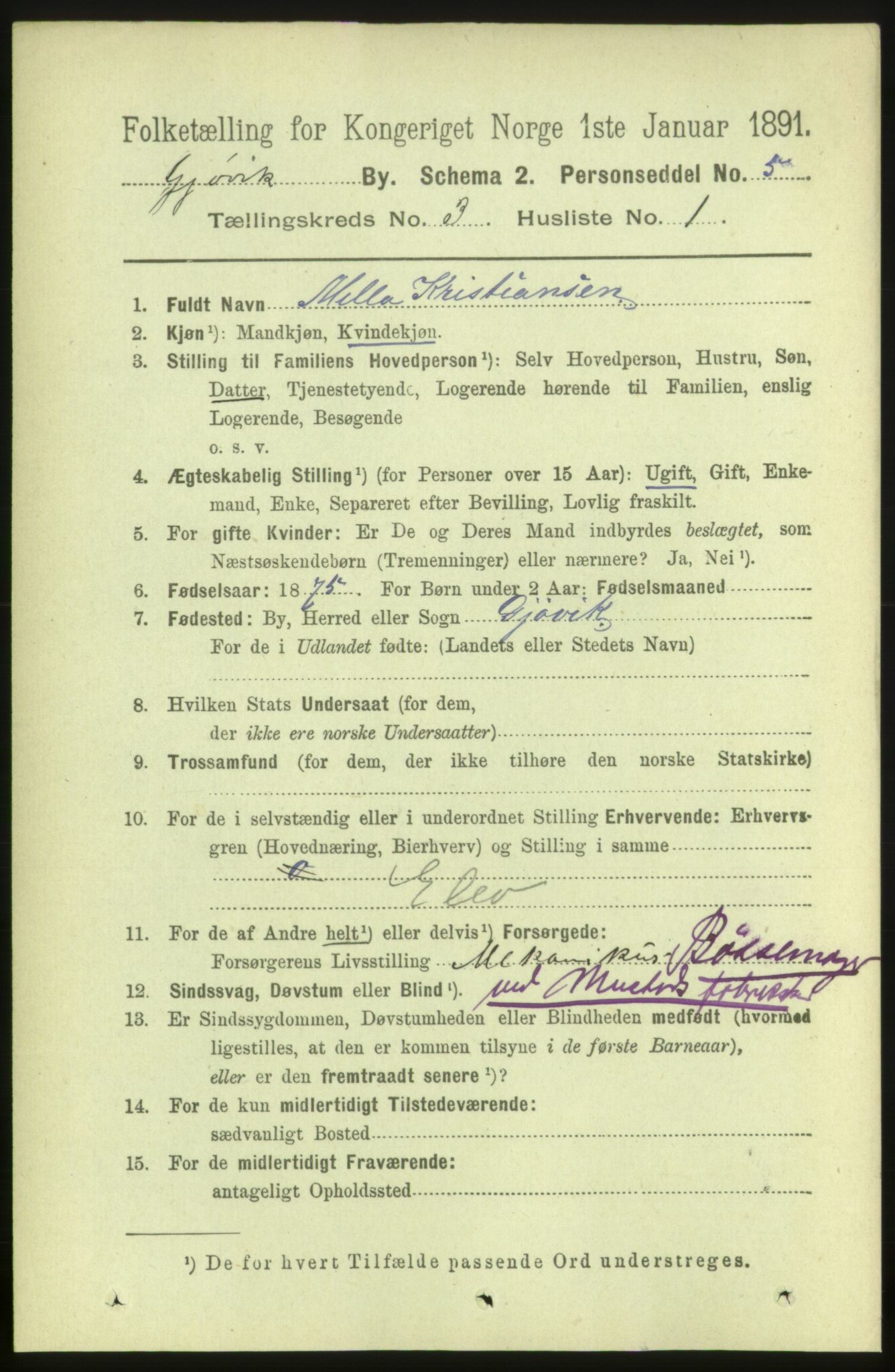 RA, 1891 census for 0502 Gjøvik, 1891, p. 976