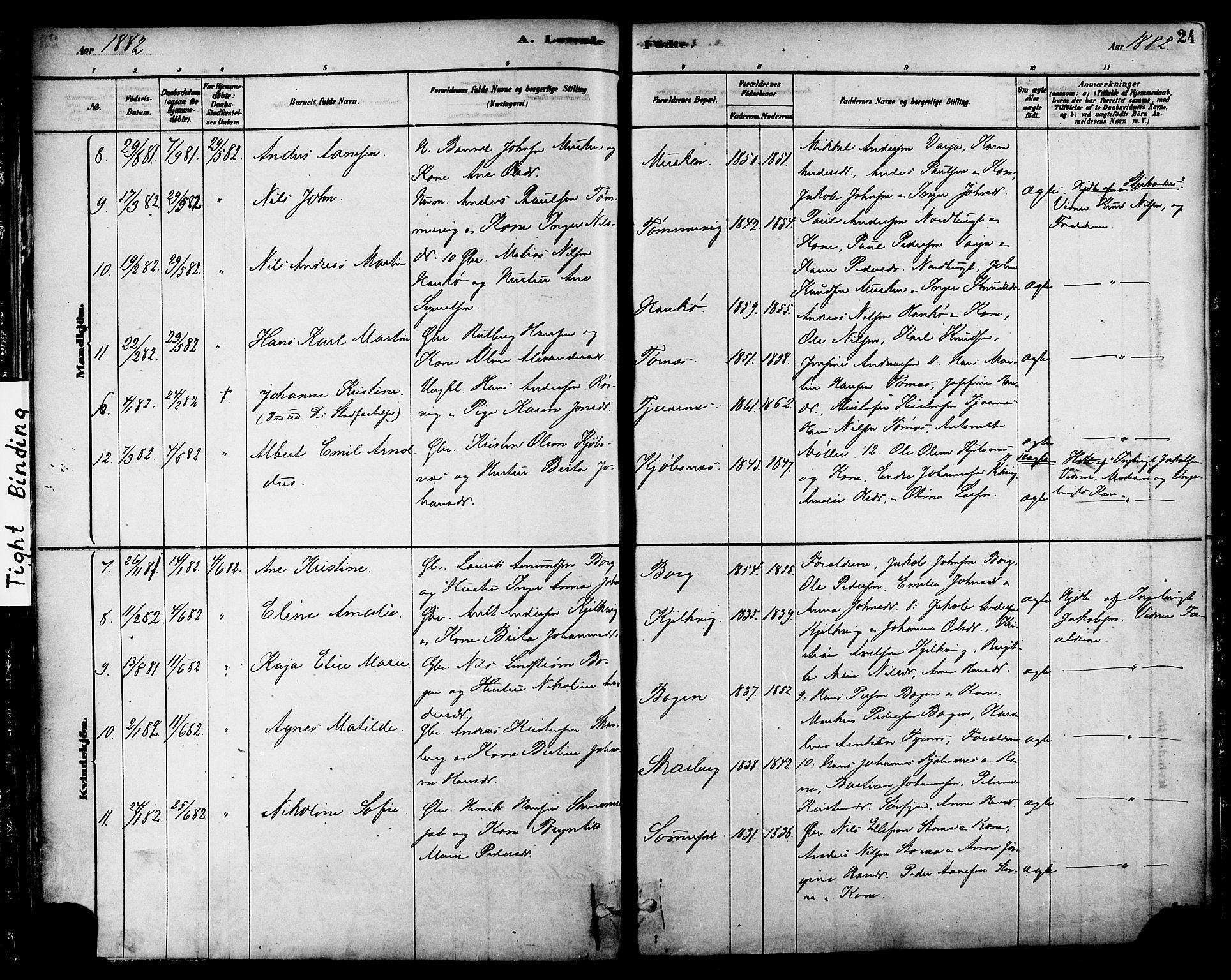 Ministerialprotokoller, klokkerbøker og fødselsregistre - Nordland, AV/SAT-A-1459/861/L0868: Parish register (official) no. 861A03, 1879-1889, p. 24