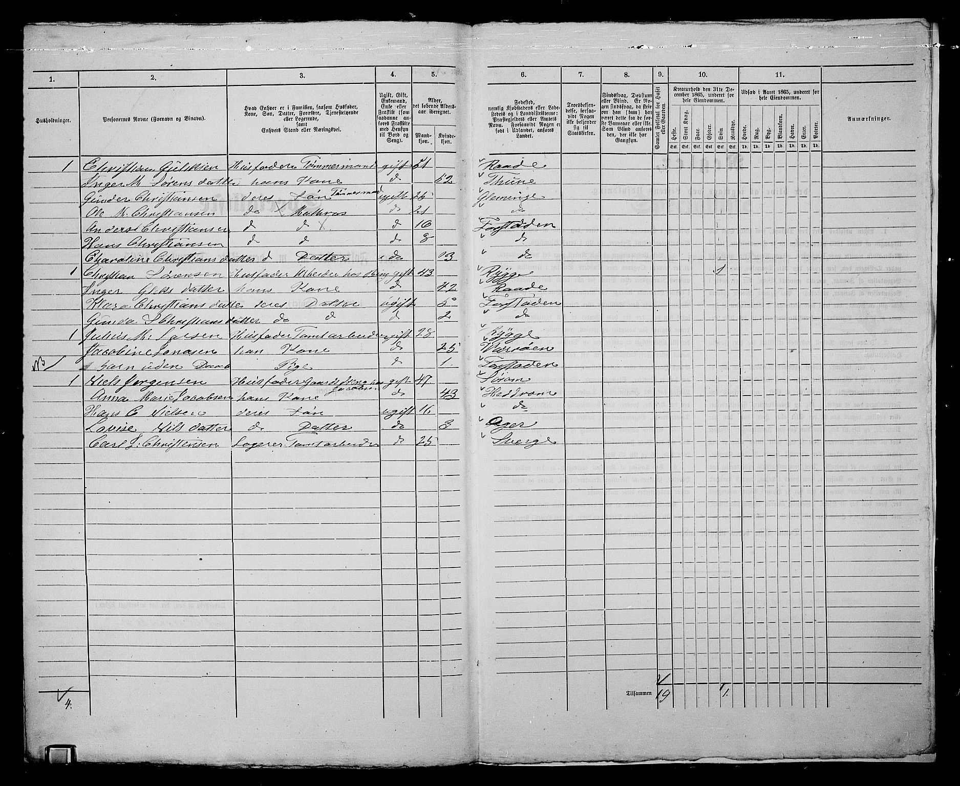 RA, 1865 census for Fredrikstad/Fredrikstad, 1865, p. 423