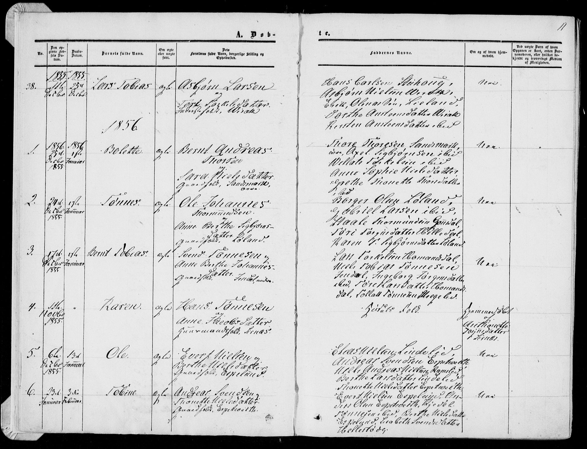 Bakke sokneprestkontor, SAK/1111-0002/F/Fa/Faa/L0006: Parish register (official) no. A 6, 1855-1877, p. 11