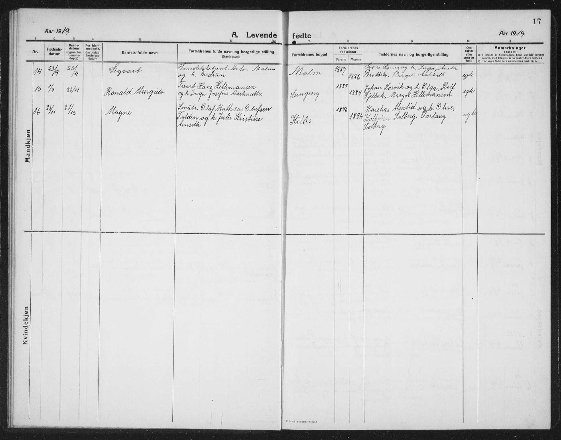 Ministerialprotokoller, klokkerbøker og fødselsregistre - Nord-Trøndelag, SAT/A-1458/745/L0434: Parish register (copy) no. 745C03, 1914-1937, p. 17