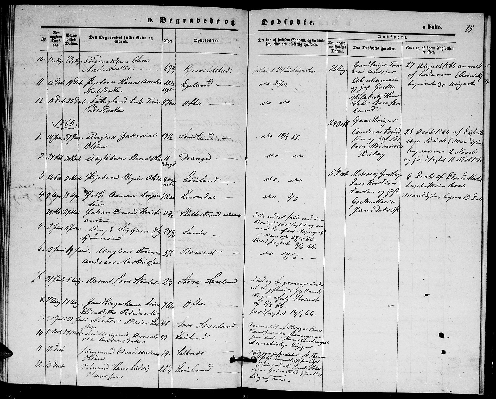 Herad sokneprestkontor, AV/SAK-1111-0018/F/Fb/Fba/L0003: Parish register (copy) no. B 3, 1863-1883, p. 85