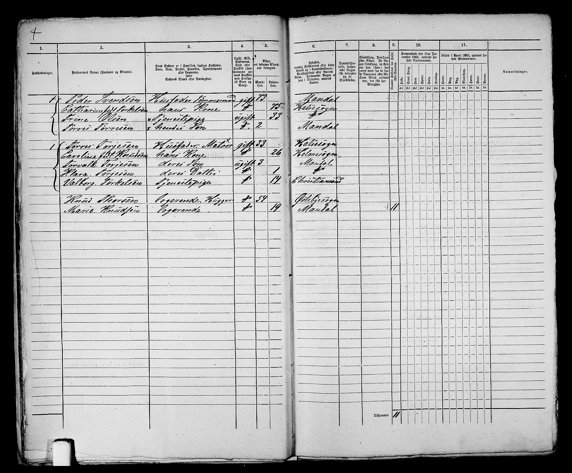 RA, 1865 census for Mandal/Mandal, 1865, p. 21