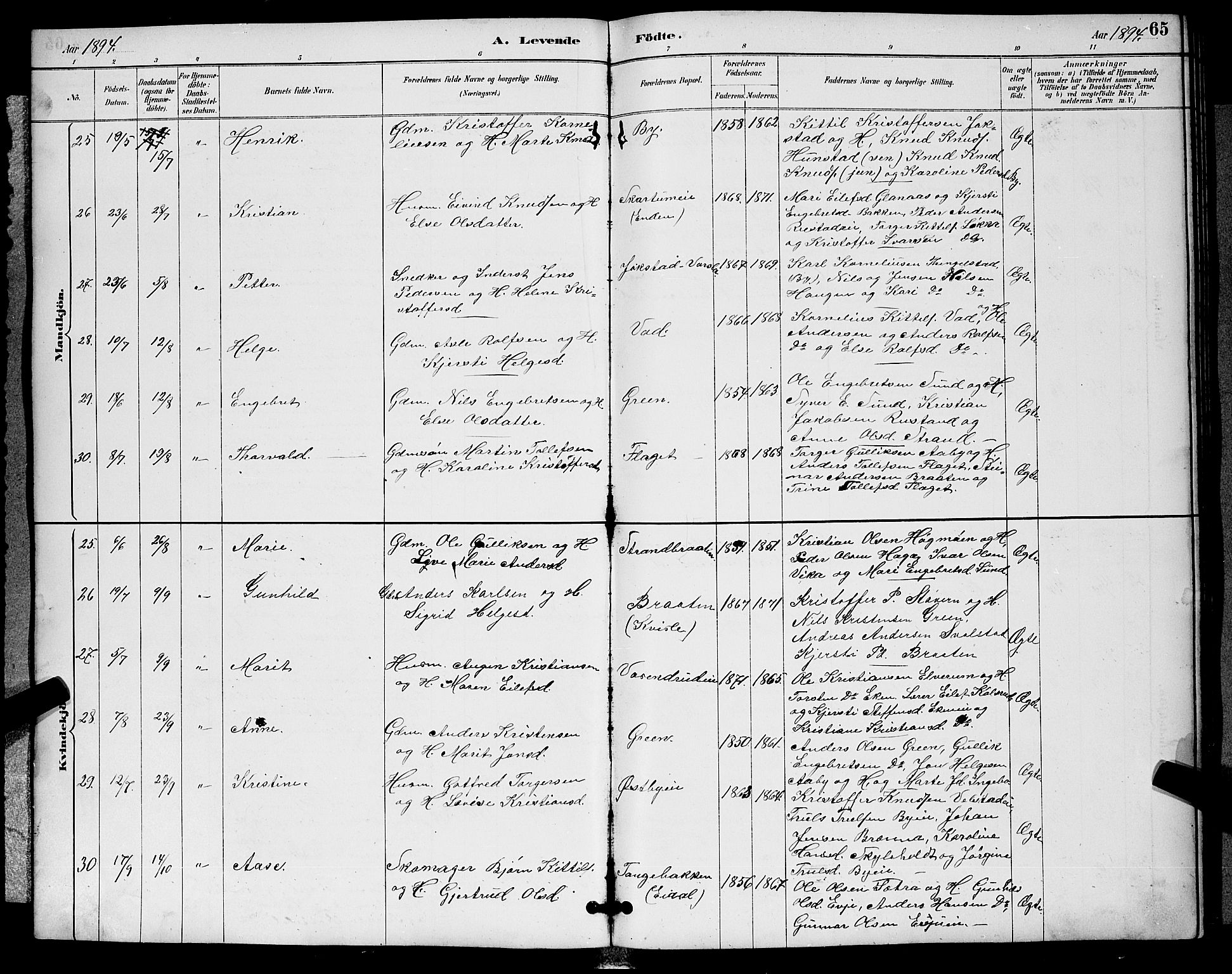 Sigdal kirkebøker, AV/SAKO-A-245/G/Ga/L0005: Parish register (copy) no. I 5, 1886-1900, p. 65