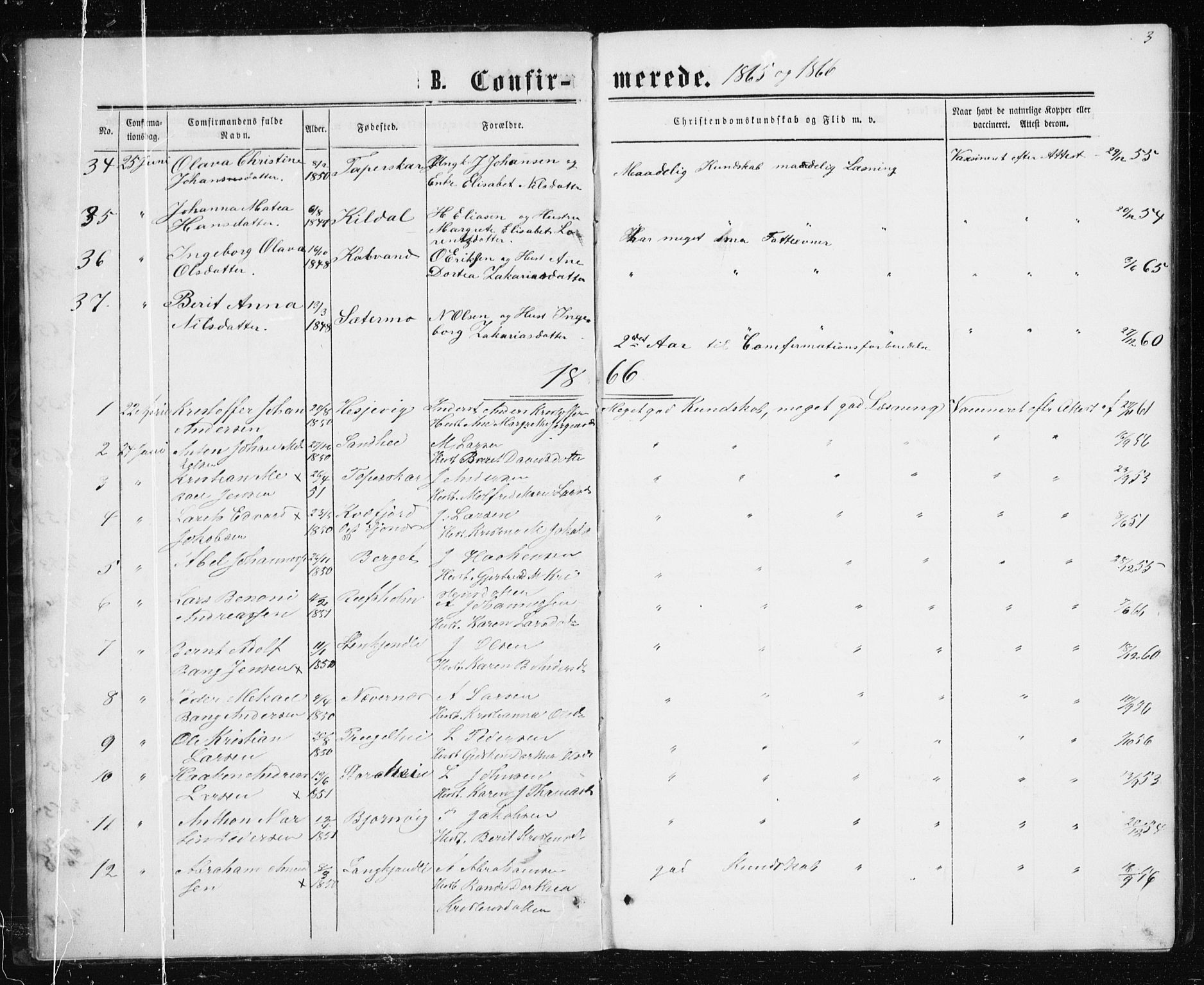 Ministerialprotokoller, klokkerbøker og fødselsregistre - Nordland, SAT/A-1459/827/L0416: Parish register (copy) no. 827C05, 1865-1886, p. 3