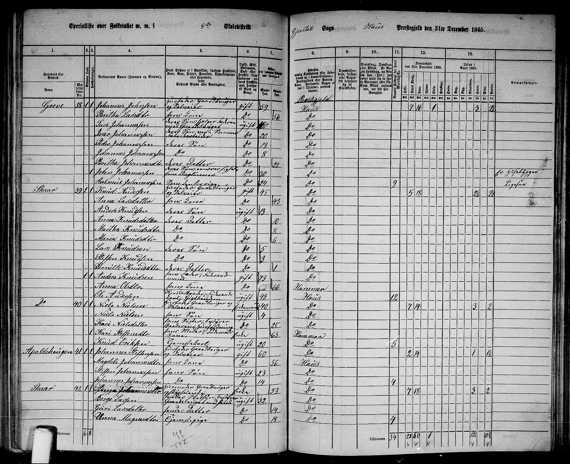 RA, 1865 census for Haus, 1865, p. 156