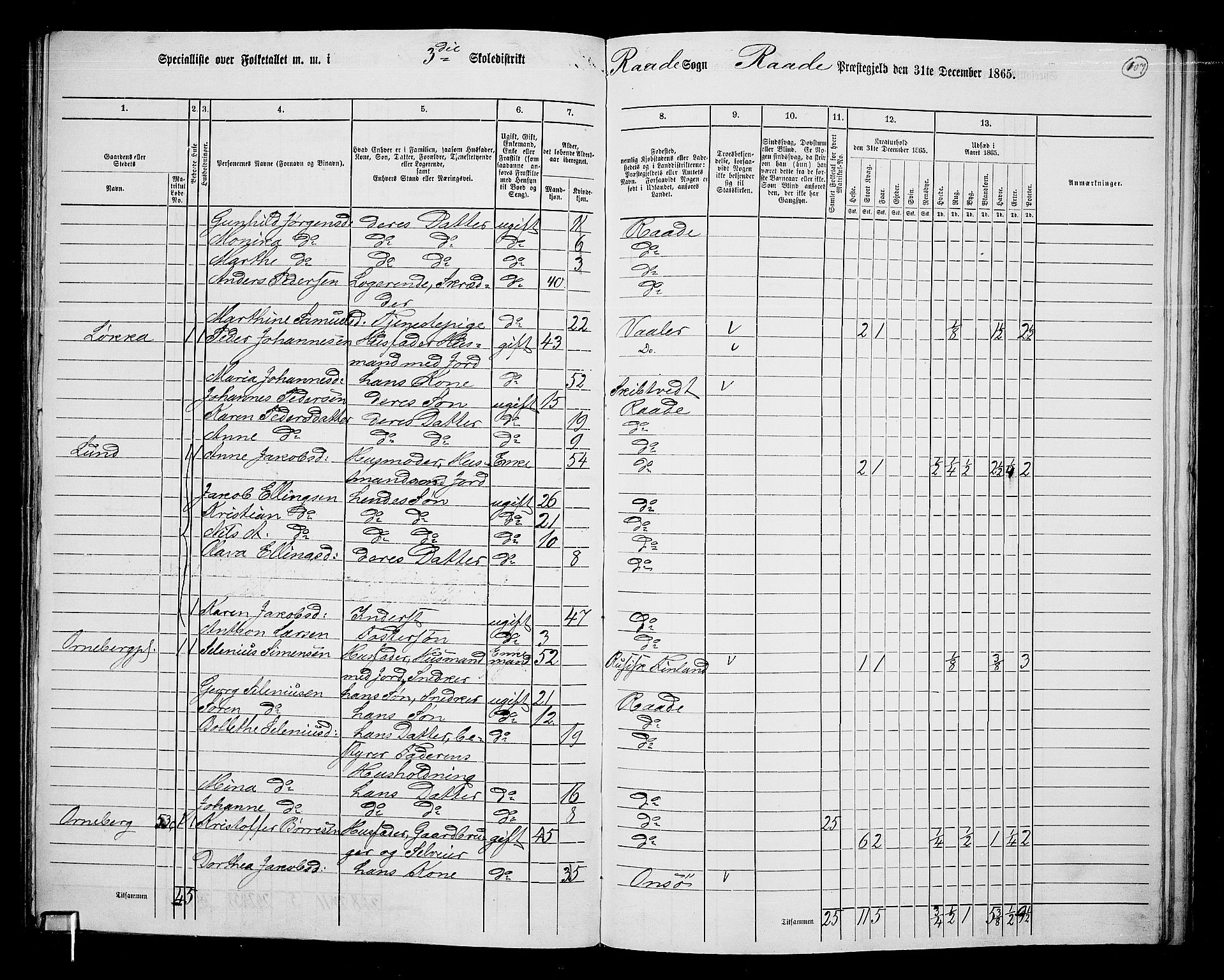 RA, 1865 census for Råde, 1865, p. 99