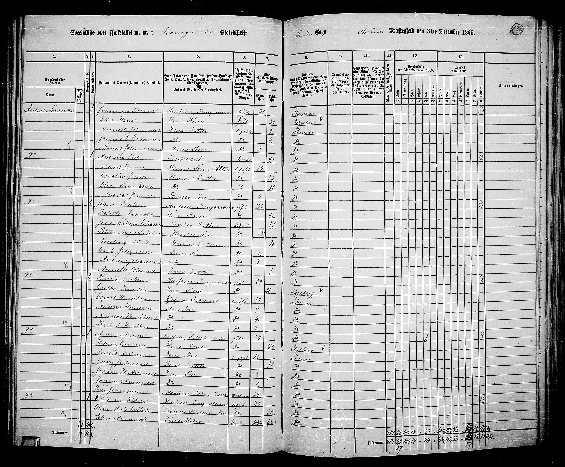 RA, 1865 census for Tune, 1865, p. 171