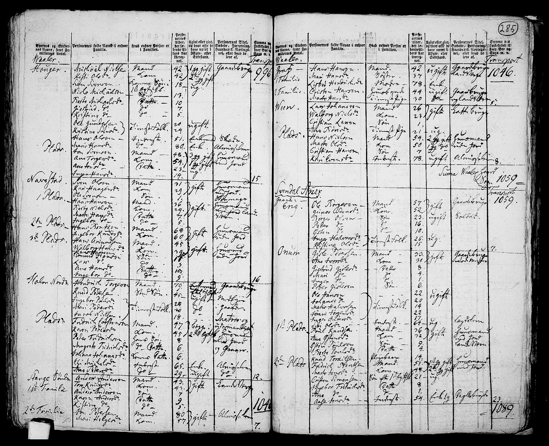 RA, 1801 census for 0137P Våler, 1801, p. 284b-285a