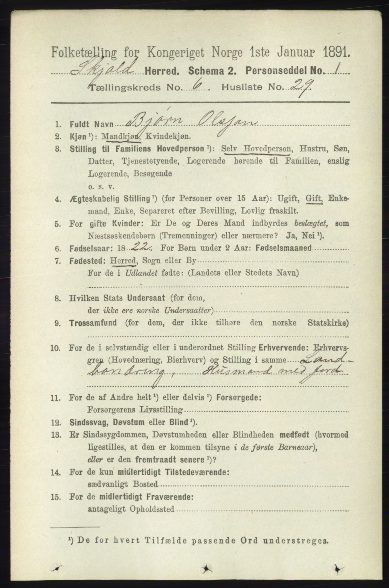 RA, 1891 census for 1154 Skjold, 1891, p. 1163