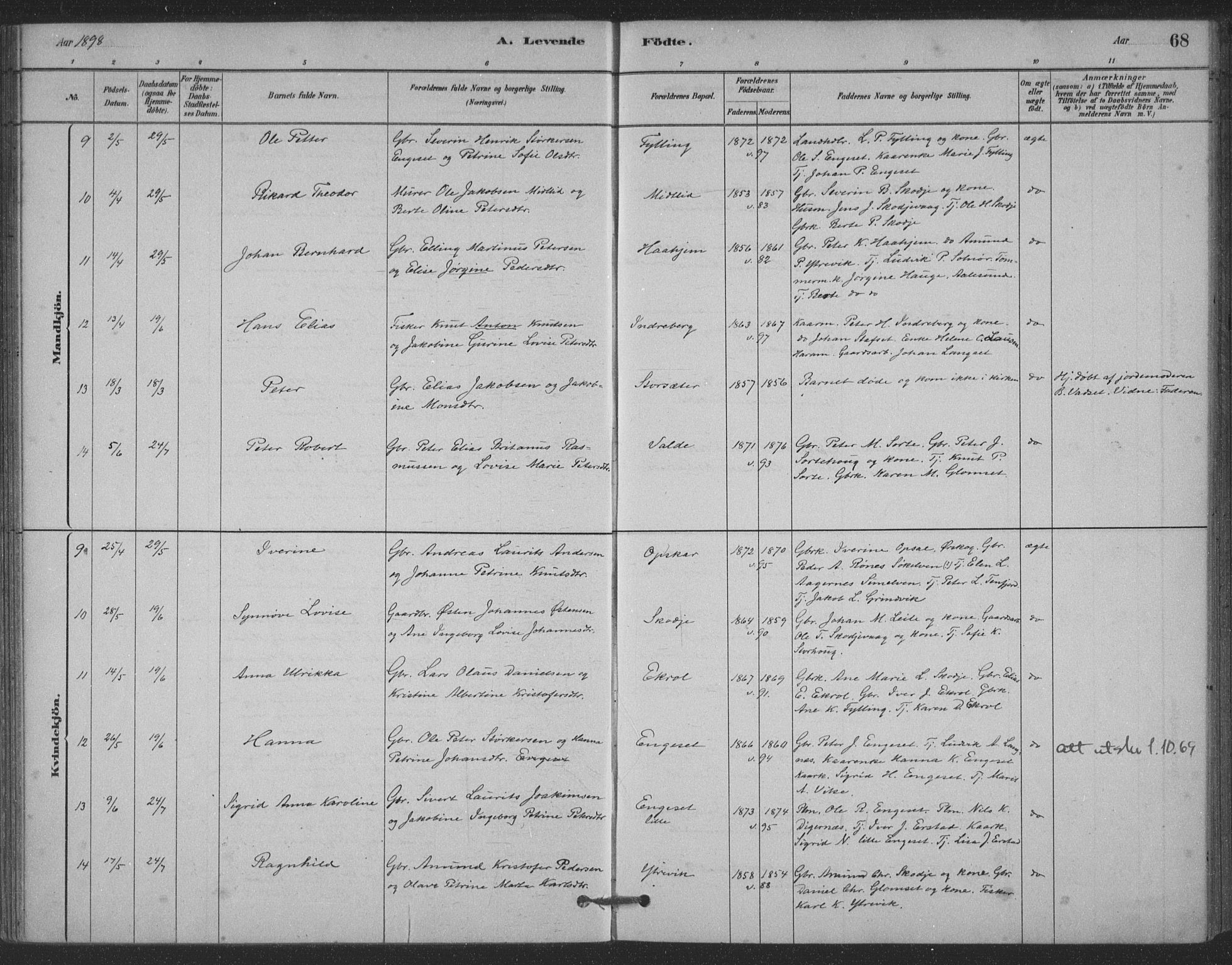 Ministerialprotokoller, klokkerbøker og fødselsregistre - Møre og Romsdal, AV/SAT-A-1454/524/L0356: Parish register (official) no. 524A08, 1880-1899, p. 68