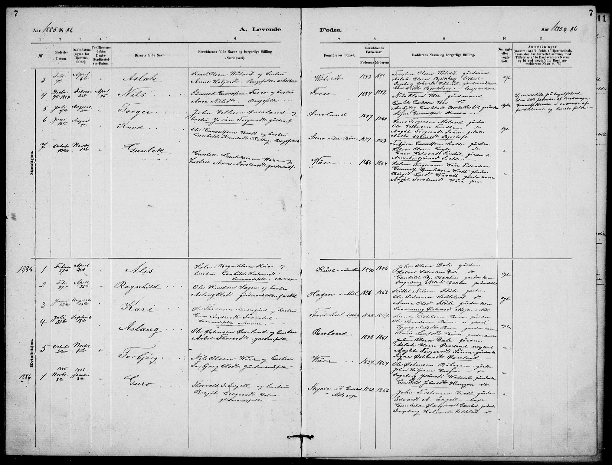 Rjukan kirkebøker, AV/SAKO-A-294/G/Ga/L0001: Parish register (copy) no. 1, 1880-1914, p. 7