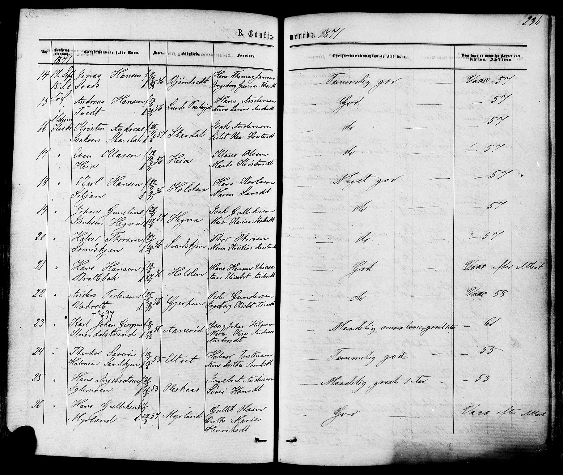 Solum kirkebøker, SAKO/A-306/F/Fa/L0008: Parish register (official) no. I 8, 1865-1876, p. 236