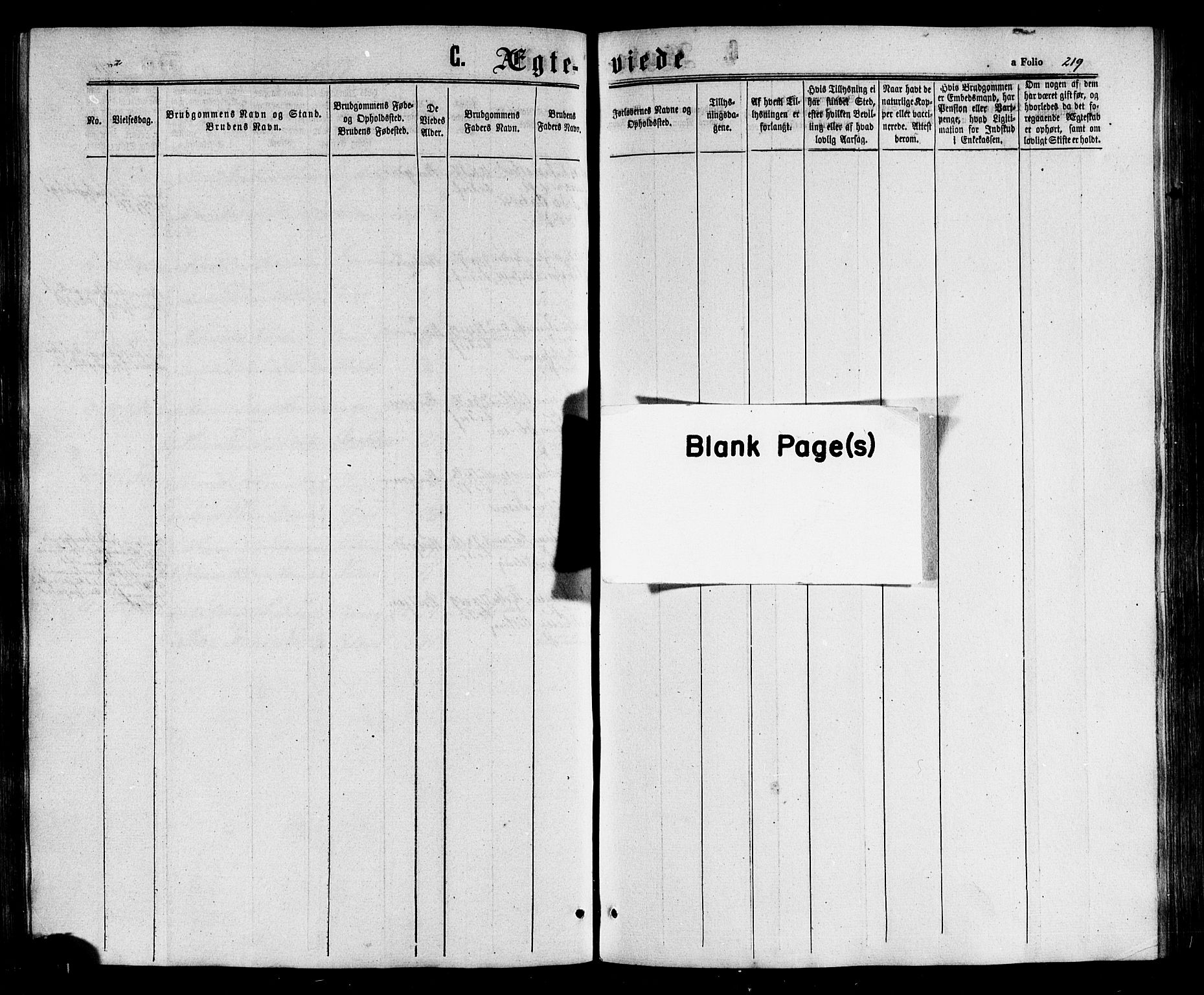 Ministerialprotokoller, klokkerbøker og fødselsregistre - Nordland, AV/SAT-A-1459/817/L0262: Parish register (official) no. 817A03/ 1, 1862-1877, p. 219