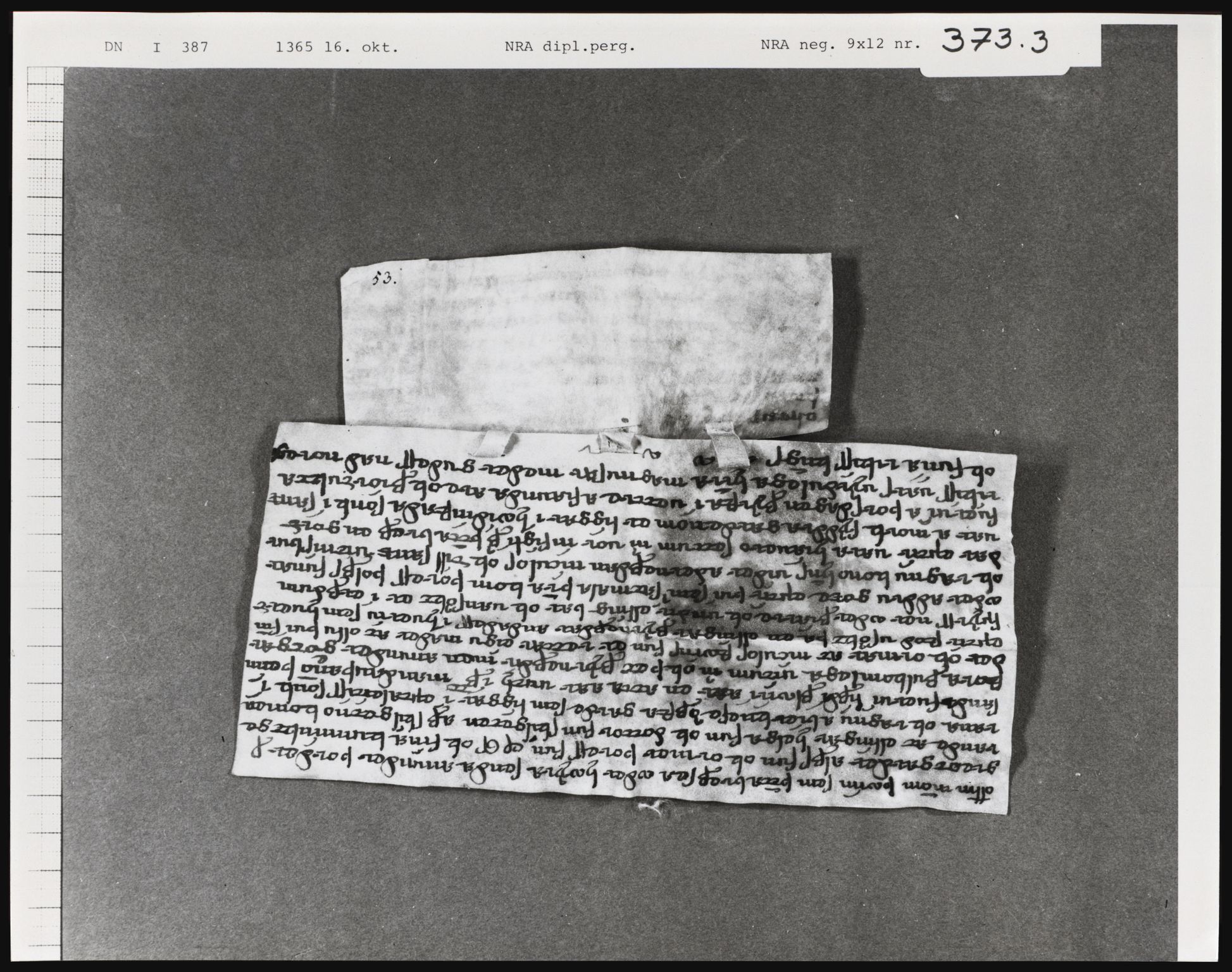 Riksarkivets diplomsamling, AV/RA-EA-5965/F01, 1333-1571, p. 1309