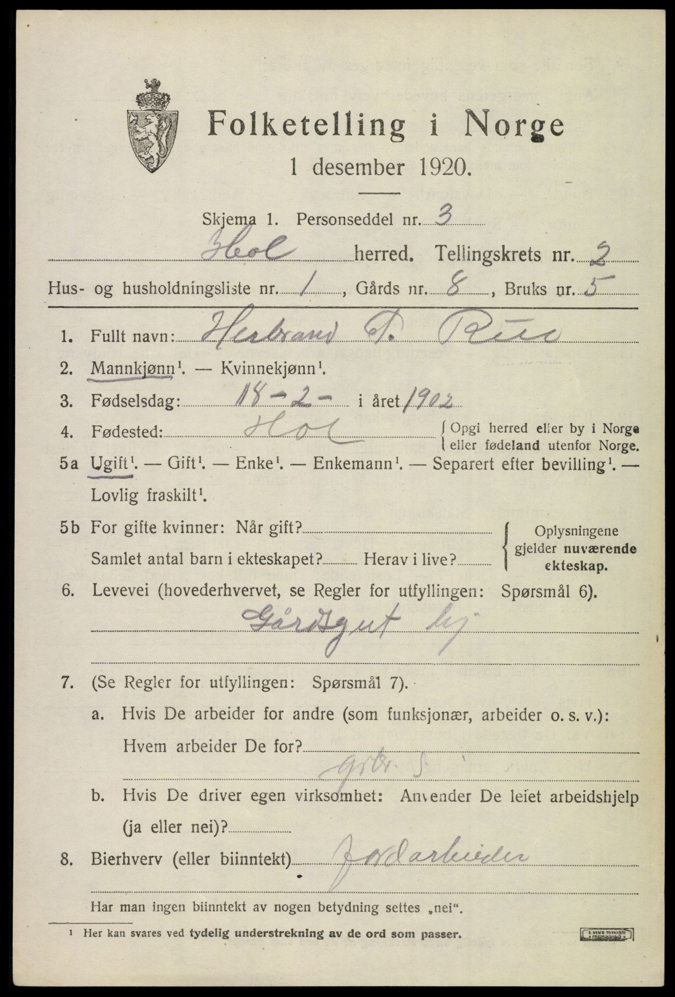 SAKO, 1920 census for Hol (Buskerud), 1920, p. 1199