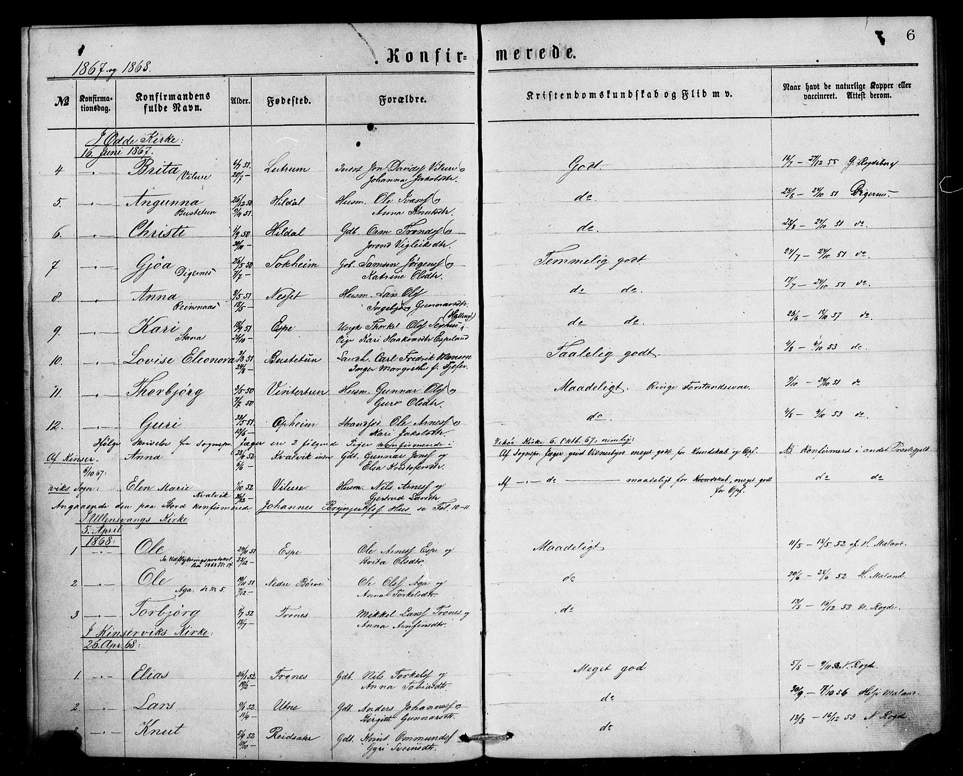 Ullensvang sokneprestembete, SAB/A-78701/H/Haa: Parish register (official) no. A 13, 1867-1879, p. 6