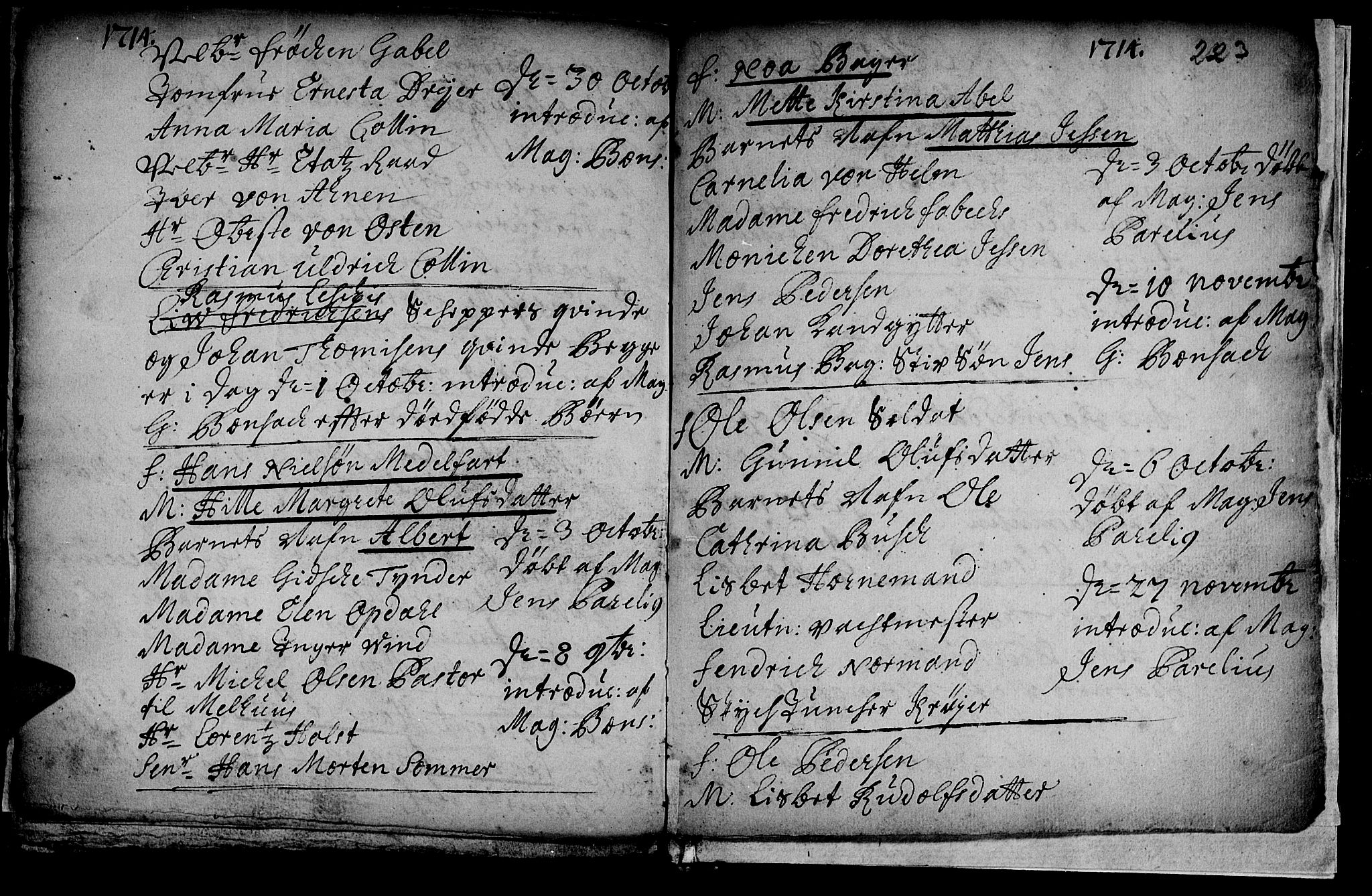 Ministerialprotokoller, klokkerbøker og fødselsregistre - Sør-Trøndelag, SAT/A-1456/601/L0034: Parish register (official) no. 601A02, 1702-1714, p. 223