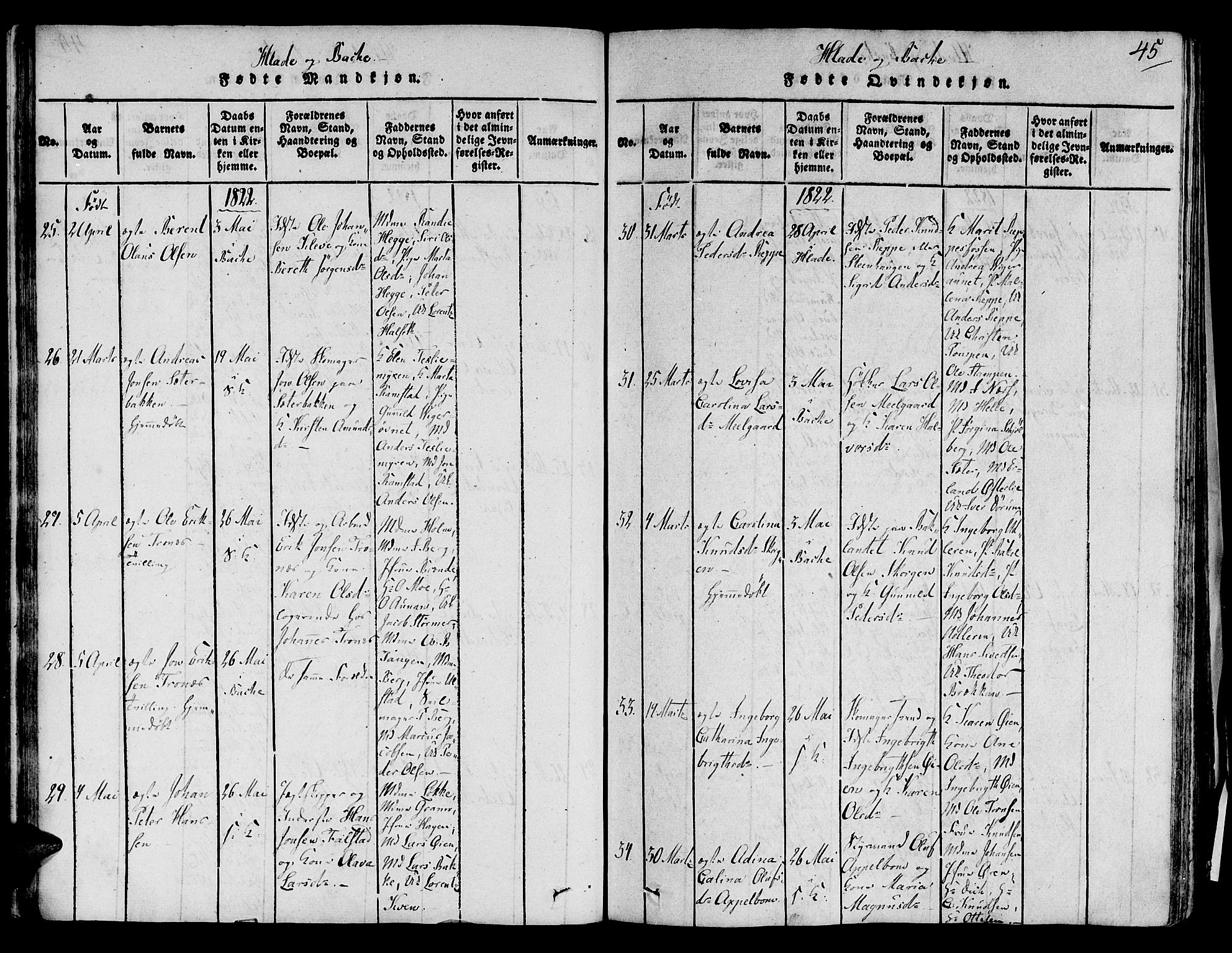 Ministerialprotokoller, klokkerbøker og fødselsregistre - Sør-Trøndelag, AV/SAT-A-1456/606/L0283: Parish register (official) no. 606A03 /1, 1818-1823, p. 45