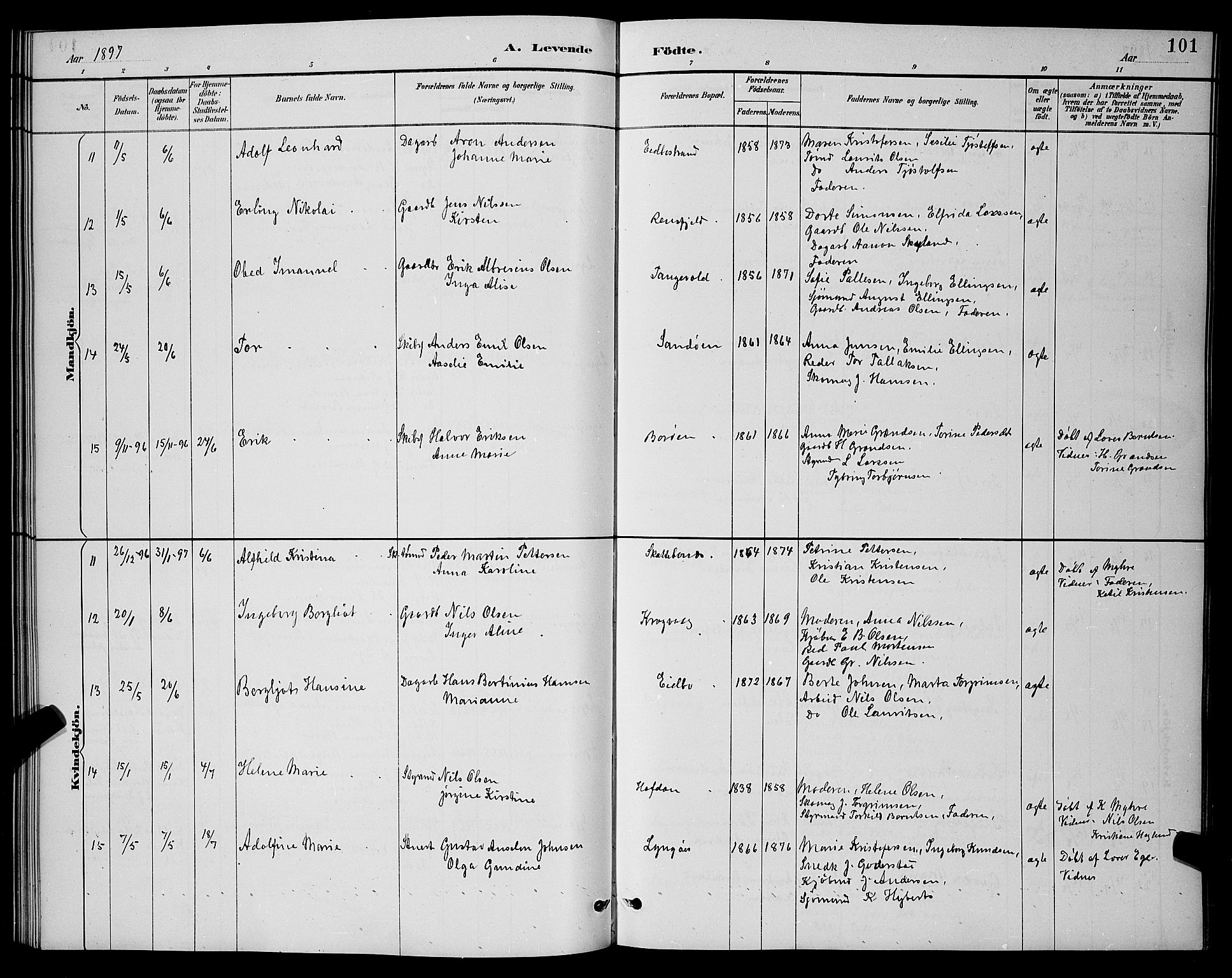 Dypvåg sokneprestkontor, AV/SAK-1111-0007/F/Fb/Fba/L0013: Parish register (copy) no. B 13, 1887-1900, p. 101