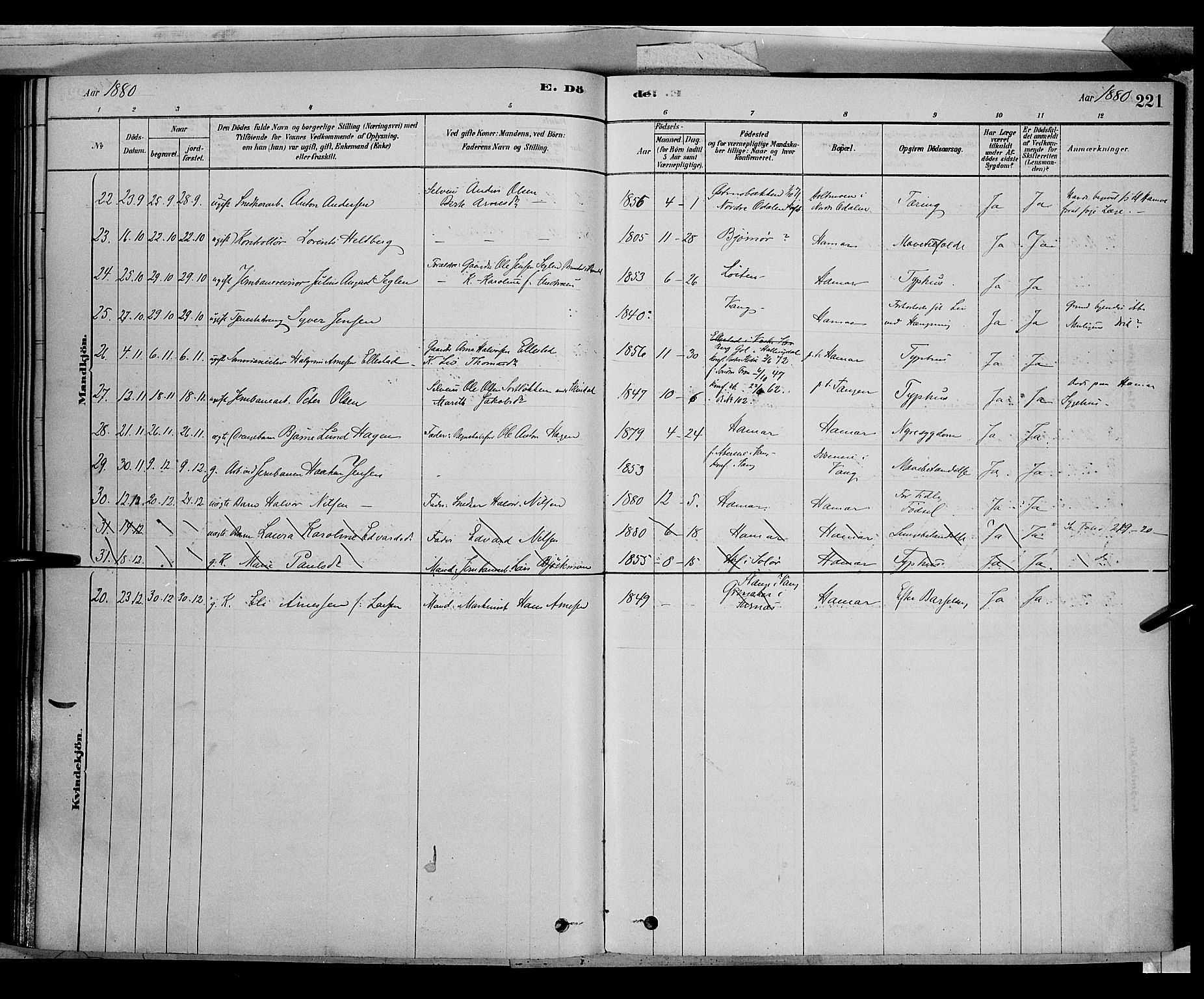 Vang prestekontor, Hedmark, SAH/PREST-008/H/Ha/Haa/L0016: Parish register (official) no. 16, 1878-1889, p. 221