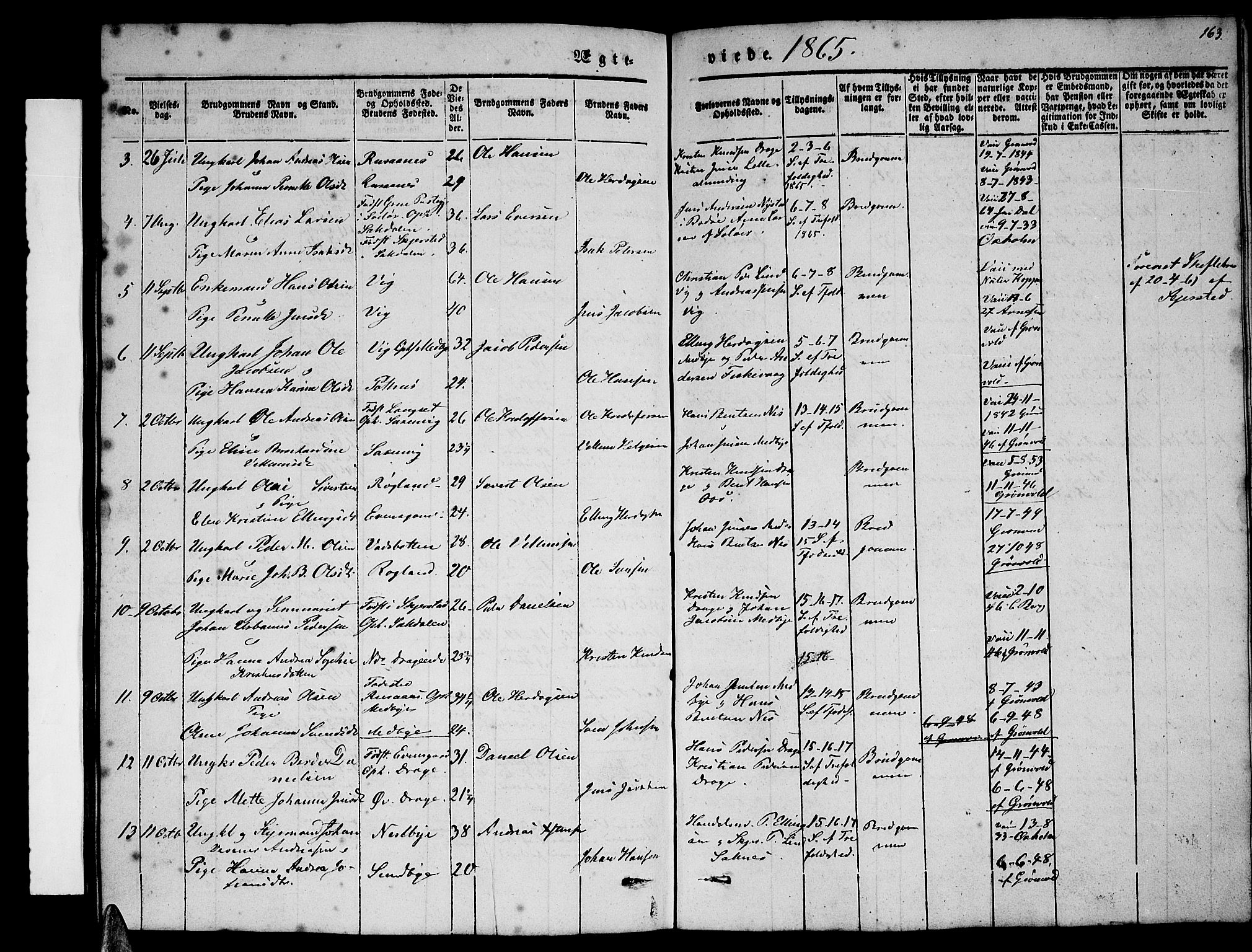 Ministerialprotokoller, klokkerbøker og fødselsregistre - Nordland, AV/SAT-A-1459/847/L0678: Parish register (copy) no. 847C06, 1854-1870, p. 163