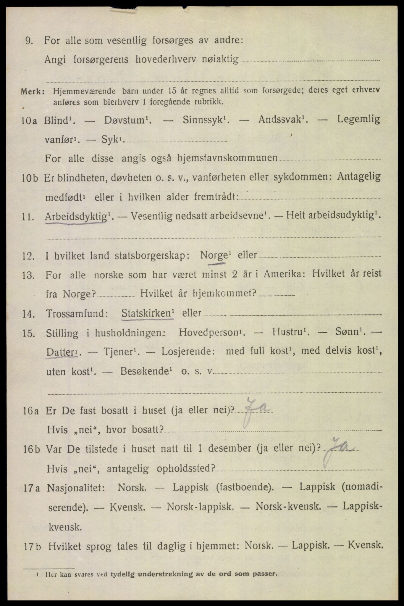 SAT, 1920 census for Bodin, 1920, p. 2911