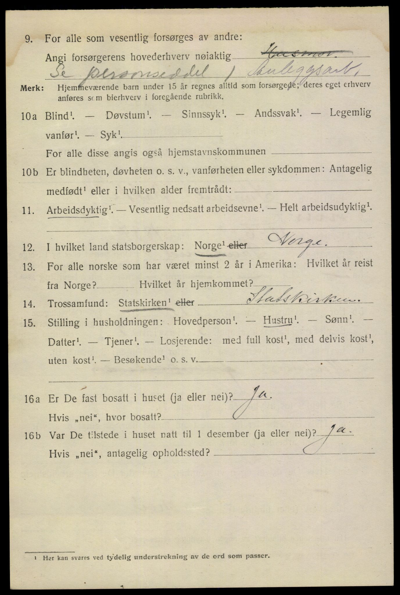 SAKO, 1920 census for Notodden, 1920, p. 11875