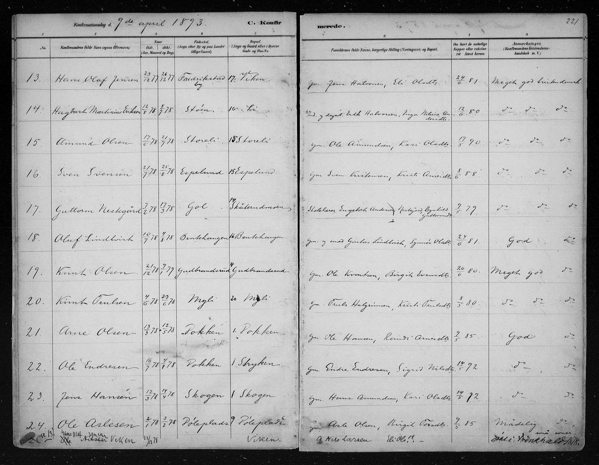 Nes kirkebøker, AV/SAKO-A-236/F/Fa/L0011: Parish register (official) no. 11, 1881-1912, p. 221