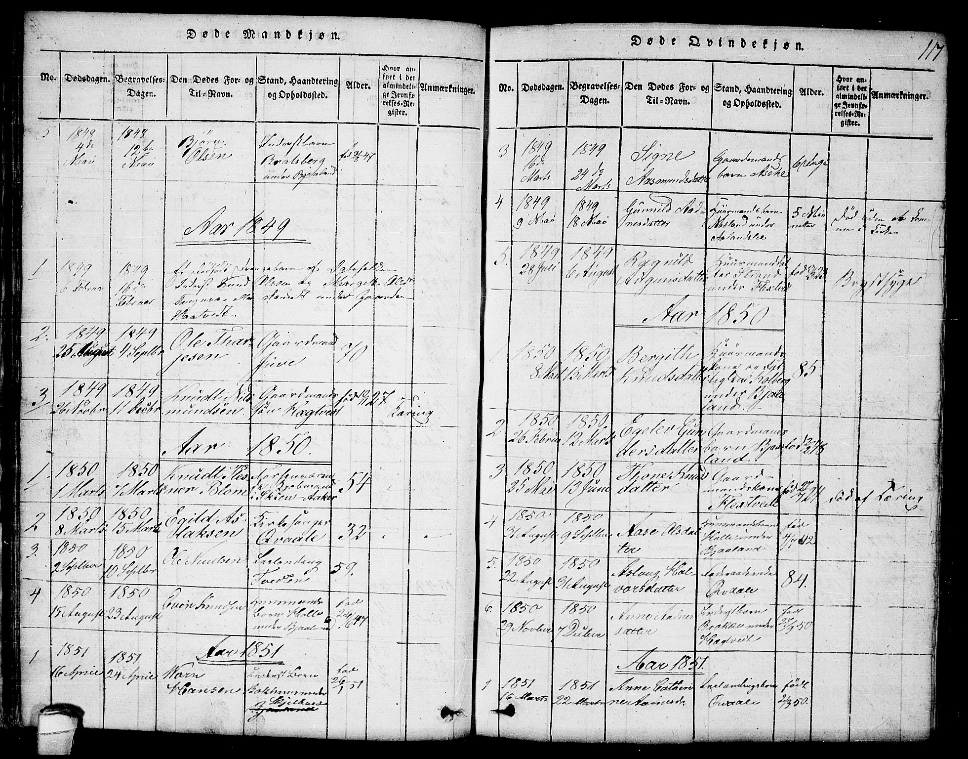 Lårdal kirkebøker, SAKO/A-284/G/Ga/L0001: Parish register (copy) no. I 1, 1815-1861, p. 117