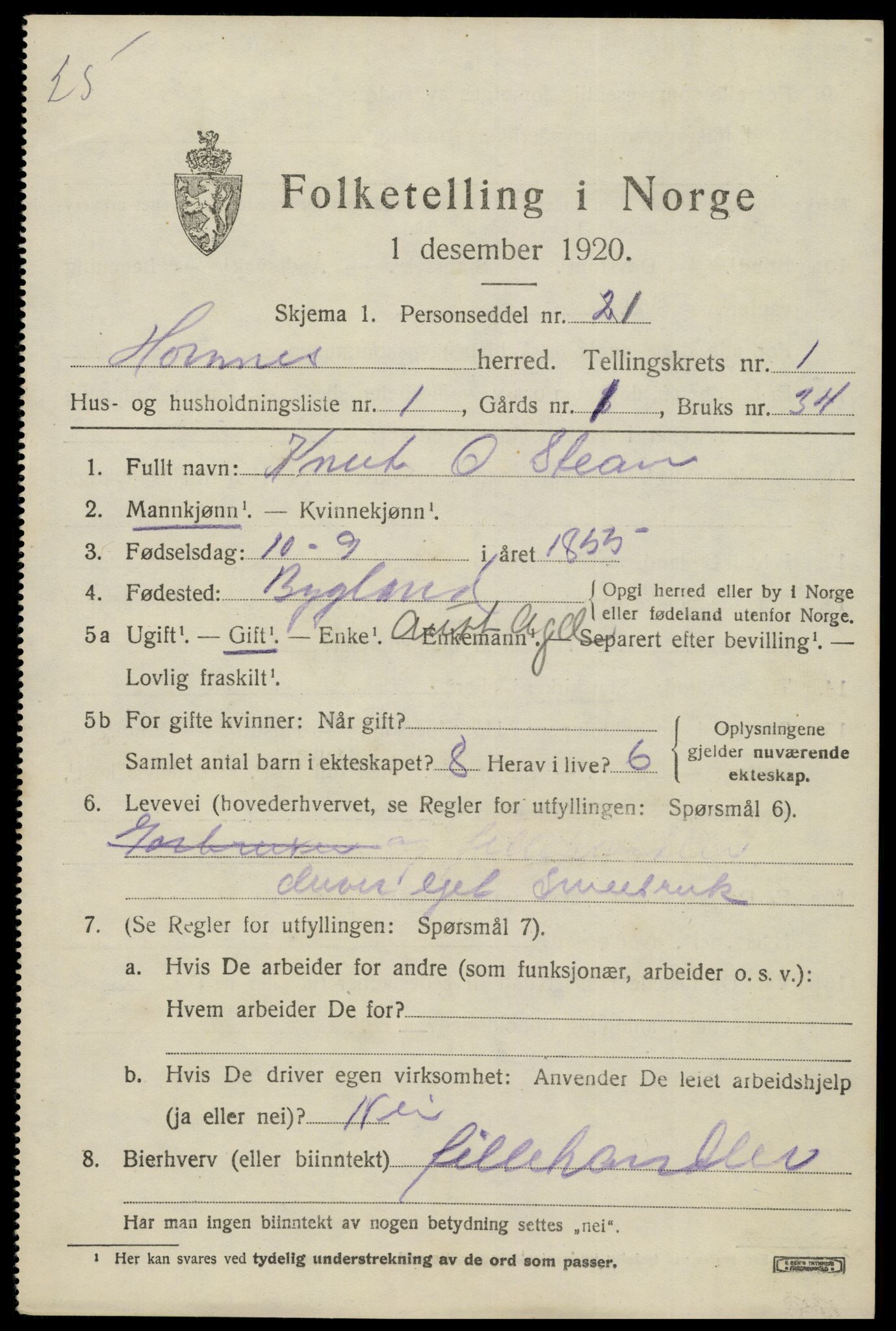 SAK, 1920 census for Hornnes, 1920, p. 559