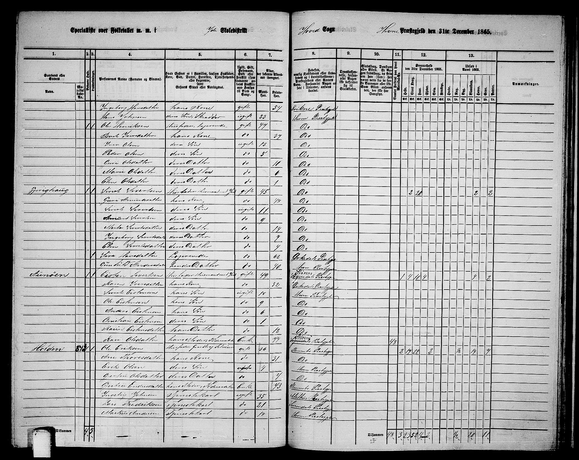 RA, 1865 census for Hemne, 1865, p. 155