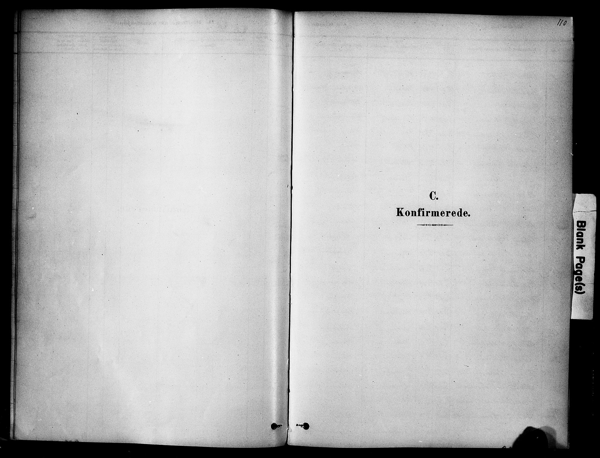 Ringsaker prestekontor, SAH/PREST-014/K/Ka/L0014: Parish register (official) no. 14, 1879-1890, p. 110