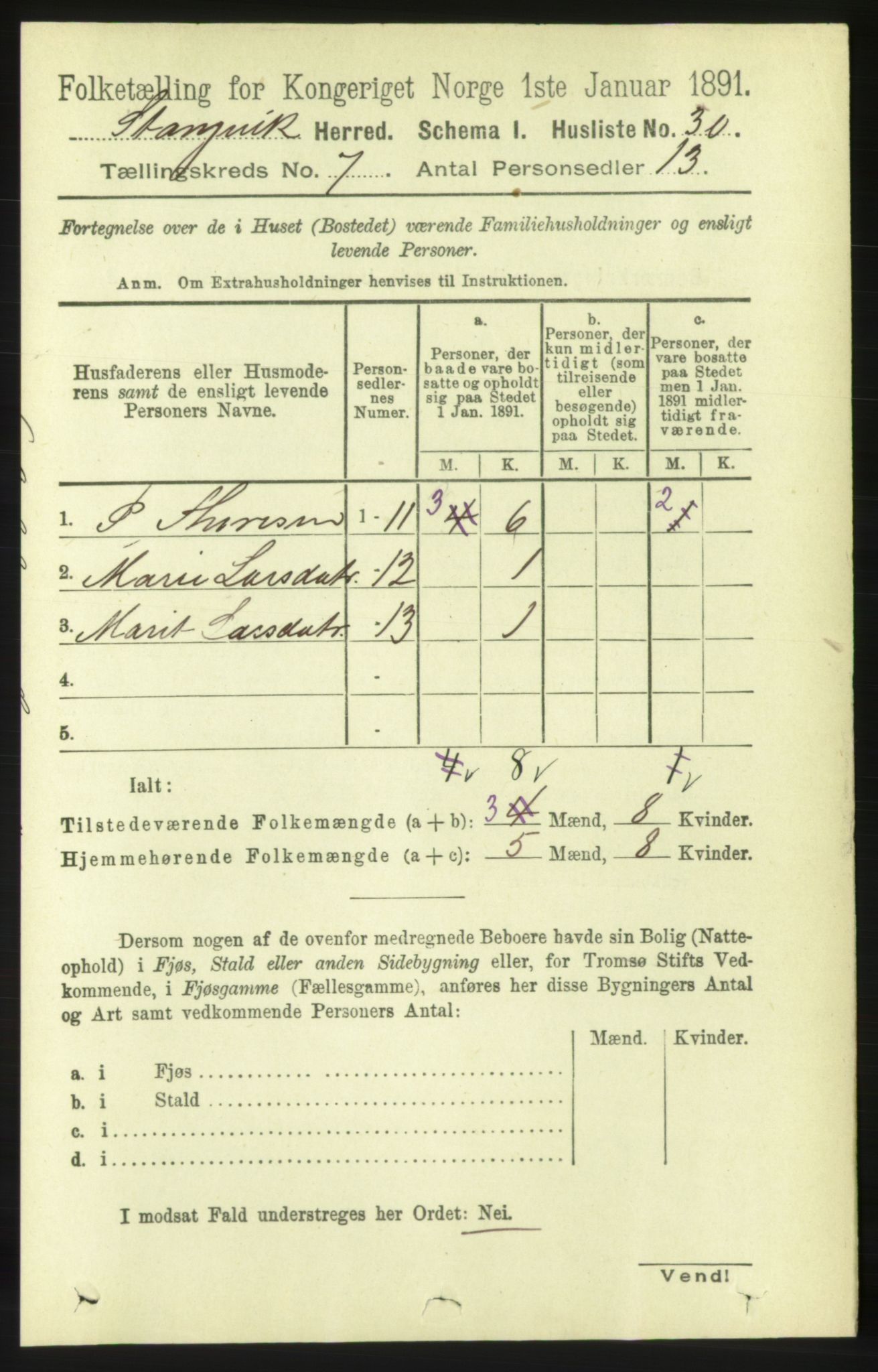 RA, 1891 census for 1564 Stangvik, 1891, p. 3002