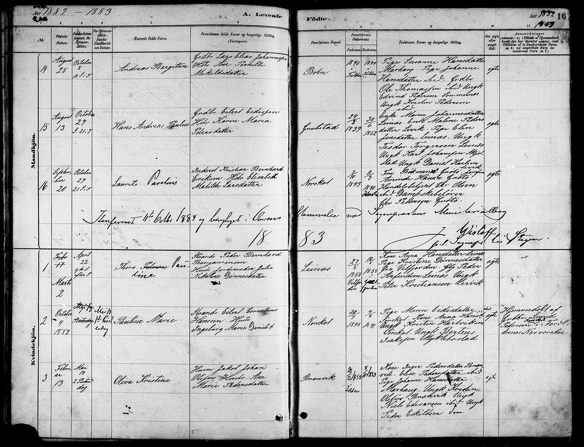 Ministerialprotokoller, klokkerbøker og fødselsregistre - Nordland, AV/SAT-A-1459/857/L0828: Parish register (copy) no. 857C03, 1879-1908, p. 16