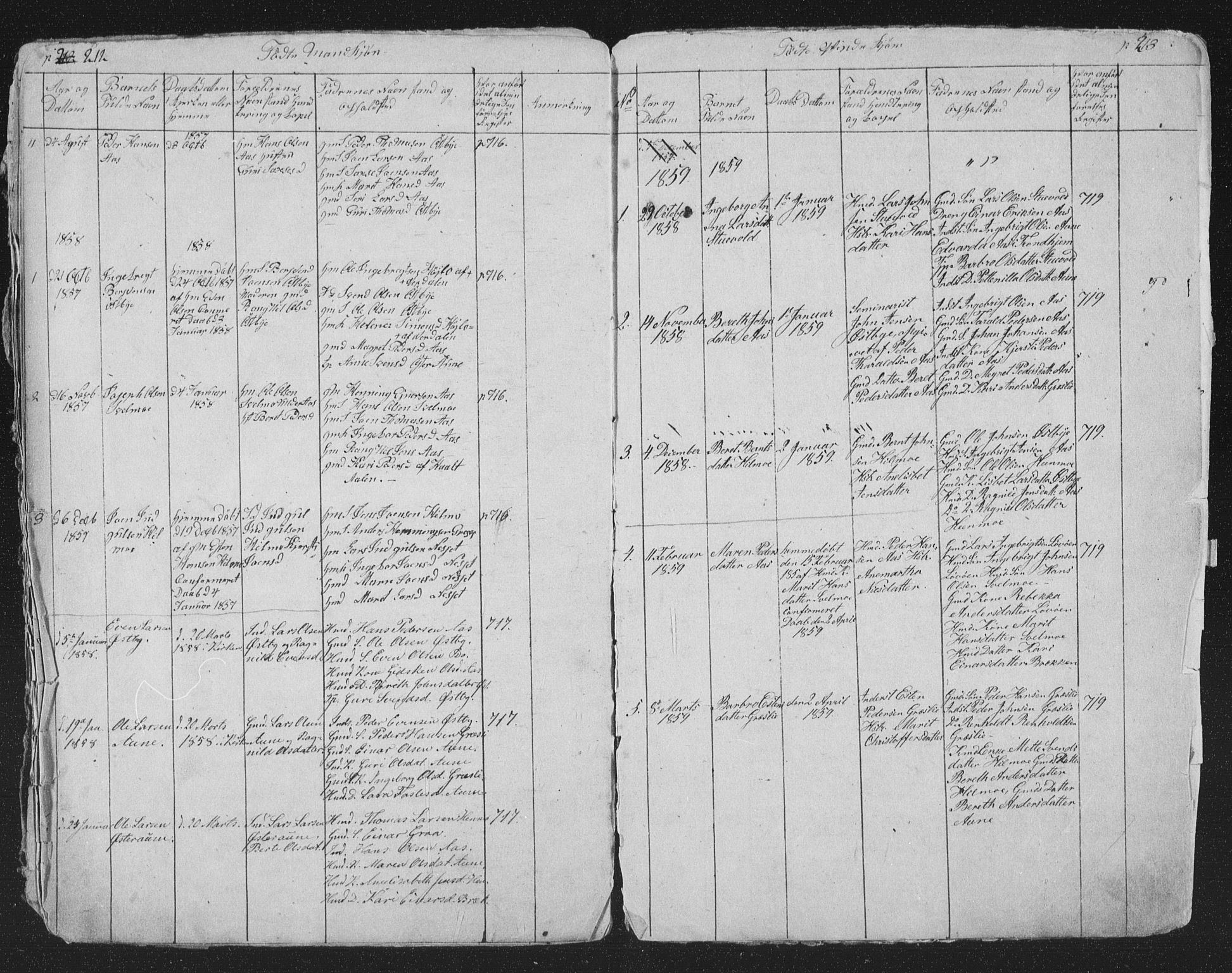 Ministerialprotokoller, klokkerbøker og fødselsregistre - Sør-Trøndelag, SAT/A-1456/698/L1165: Parish register (copy) no. 698C02, 1851-1861, p. 212-213