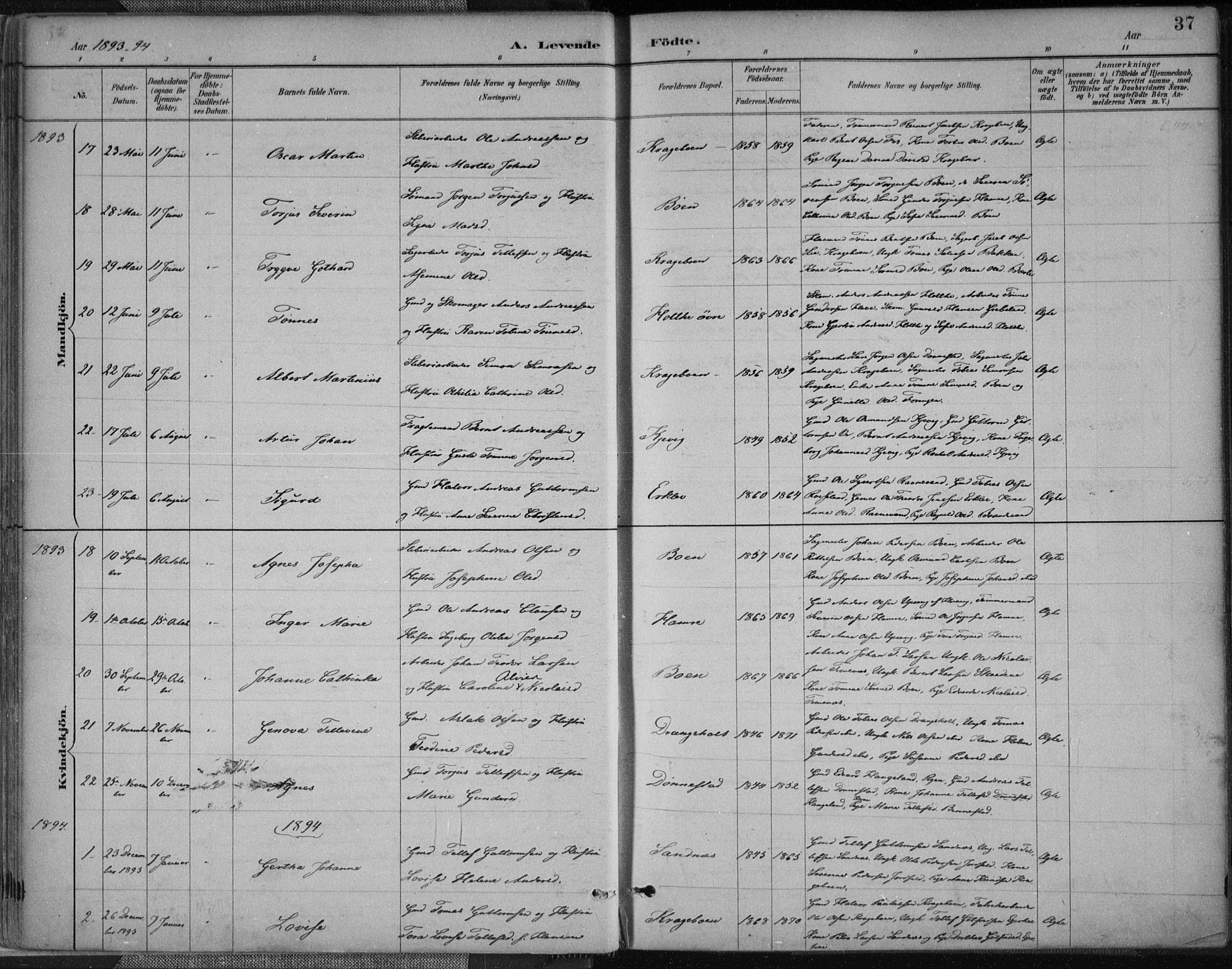 Tveit sokneprestkontor, SAK/1111-0043/F/Fa/L0007: Parish register (official) no. A 7, 1887-1908, p. 37