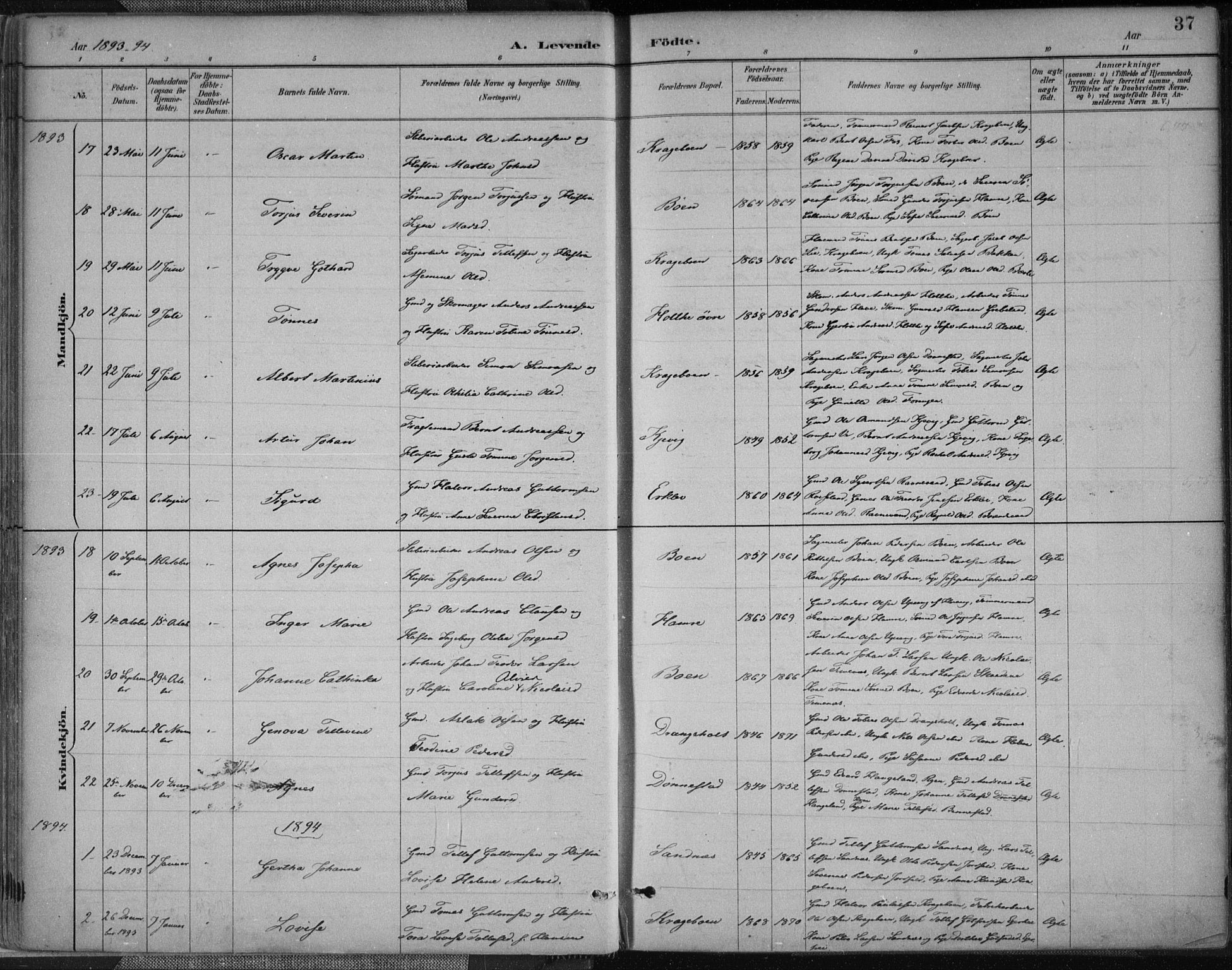 Tveit sokneprestkontor, AV/SAK-1111-0043/F/Fa/L0007: Parish register (official) no. A 7, 1887-1908, p. 37