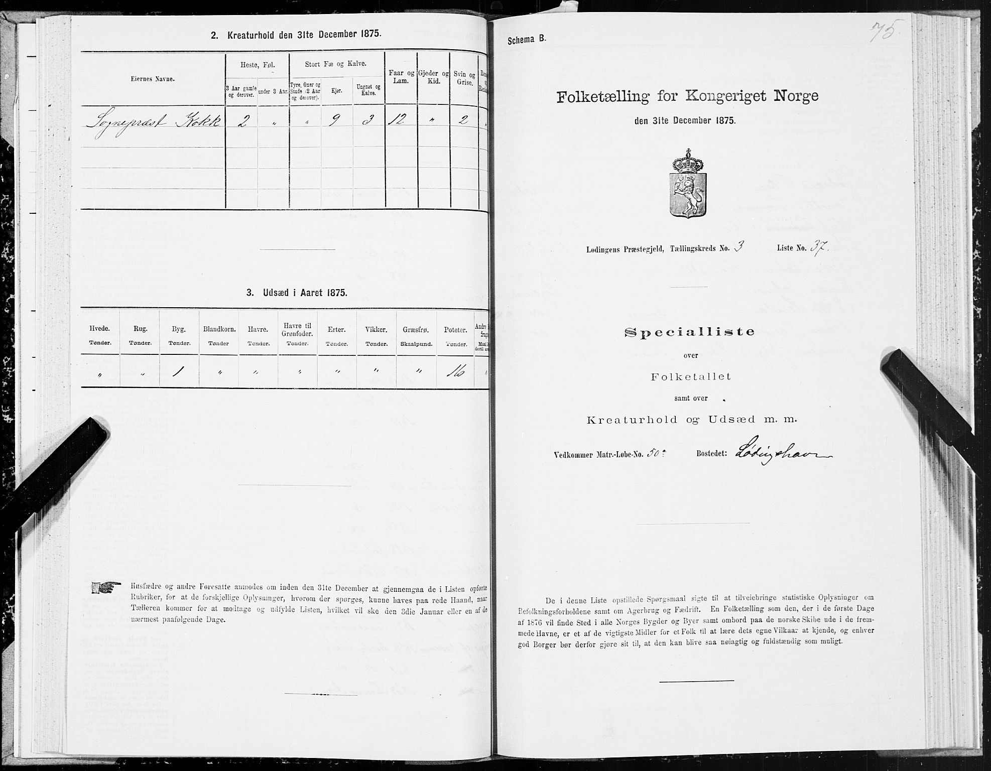 SAT, 1875 census for 1851P Lødingen, 1875, p. 2075