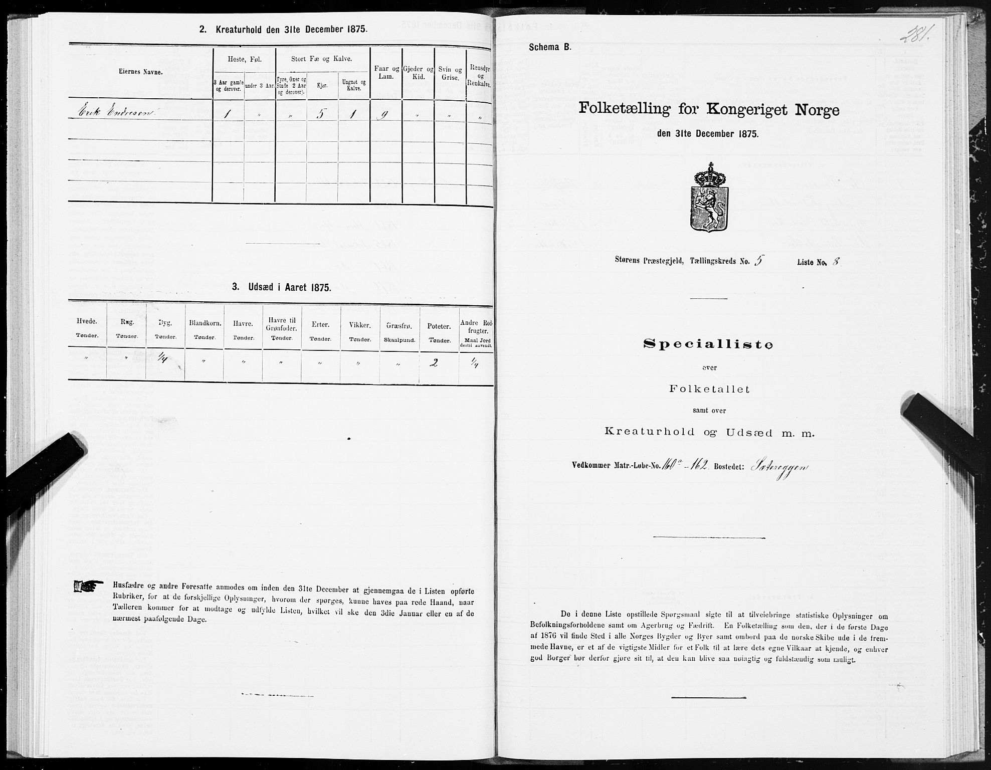 SAT, 1875 census for 1648P Støren, 1875, p. 8281