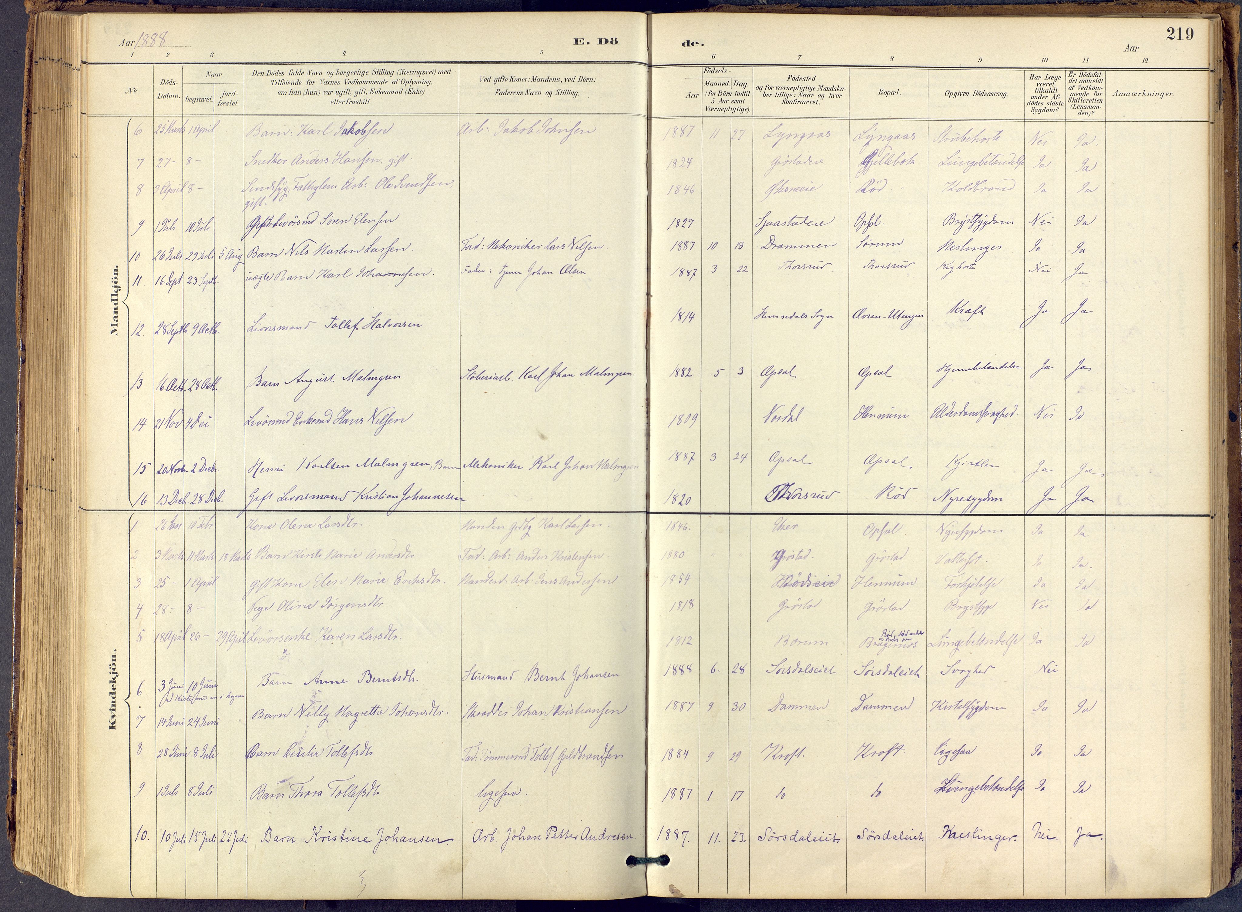 Lier kirkebøker, AV/SAKO-A-230/F/Fb/L0001: Parish register (official) no. II 1, 1883-1910, p. 219