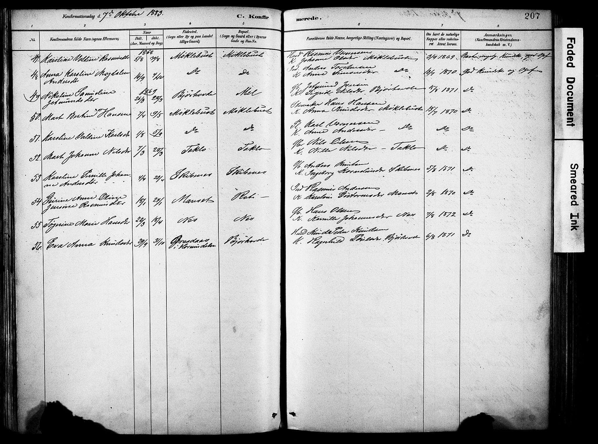 Eid sokneprestembete, AV/SAB-A-82301/H/Haa/Haab/L0001: Parish register (official) no. B 1, 1879-1906, p. 207