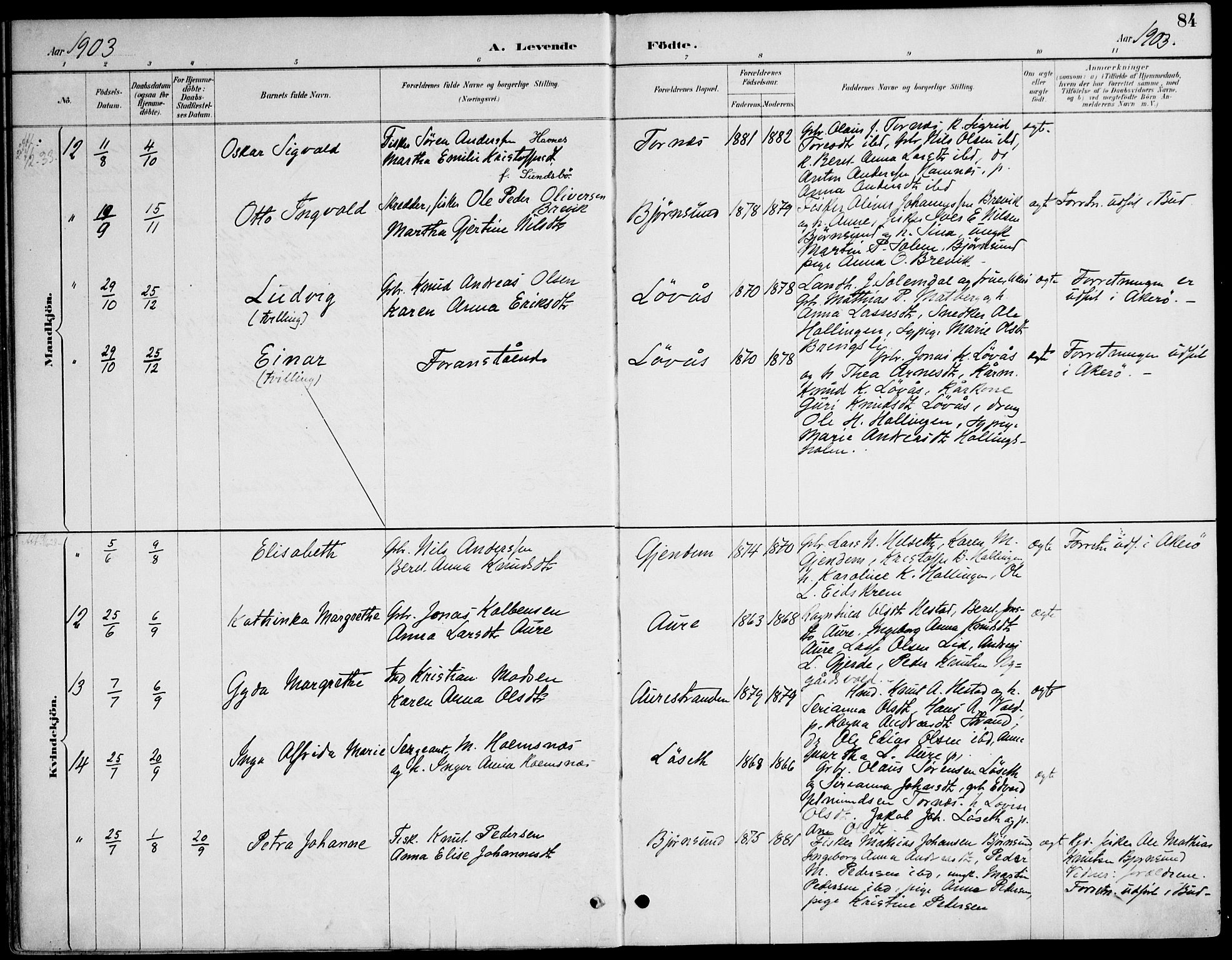 Ministerialprotokoller, klokkerbøker og fødselsregistre - Møre og Romsdal, AV/SAT-A-1454/565/L0750: Parish register (official) no. 565A04, 1887-1905, p. 84