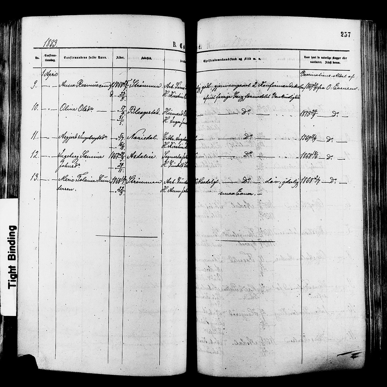 Øyestad sokneprestkontor, AV/SAK-1111-0049/F/Fa/L0016: Parish register (official) no. A 16, 1874-1886, p. 257