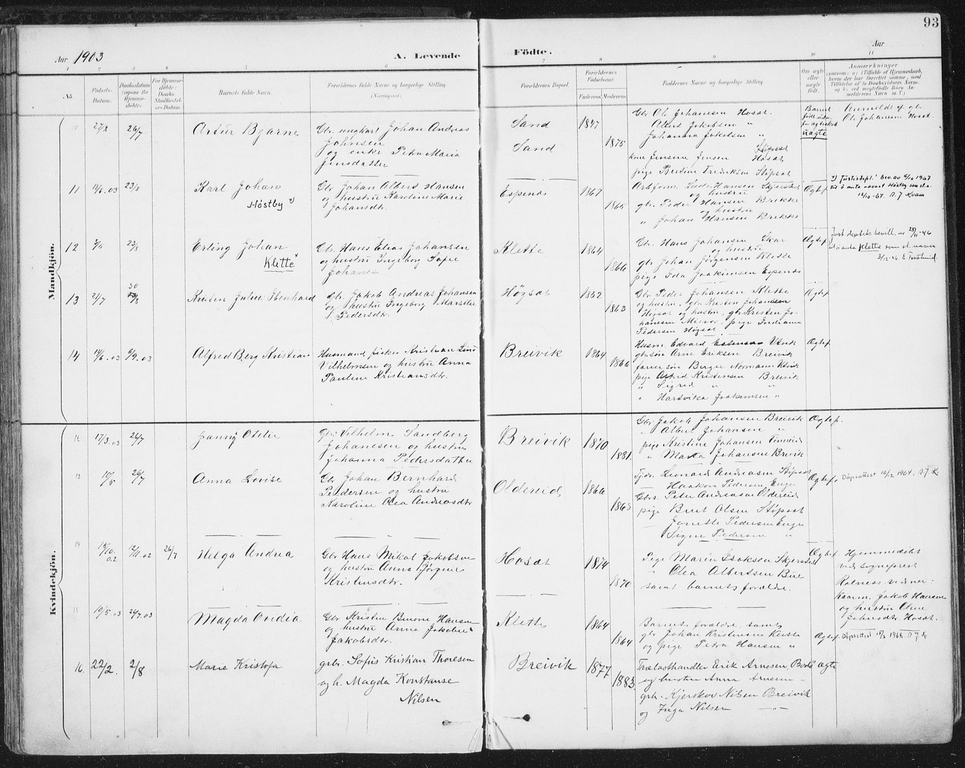 Ministerialprotokoller, klokkerbøker og fødselsregistre - Nordland, SAT/A-1459/852/L0741: Parish register (official) no. 852A11, 1894-1917, p. 93