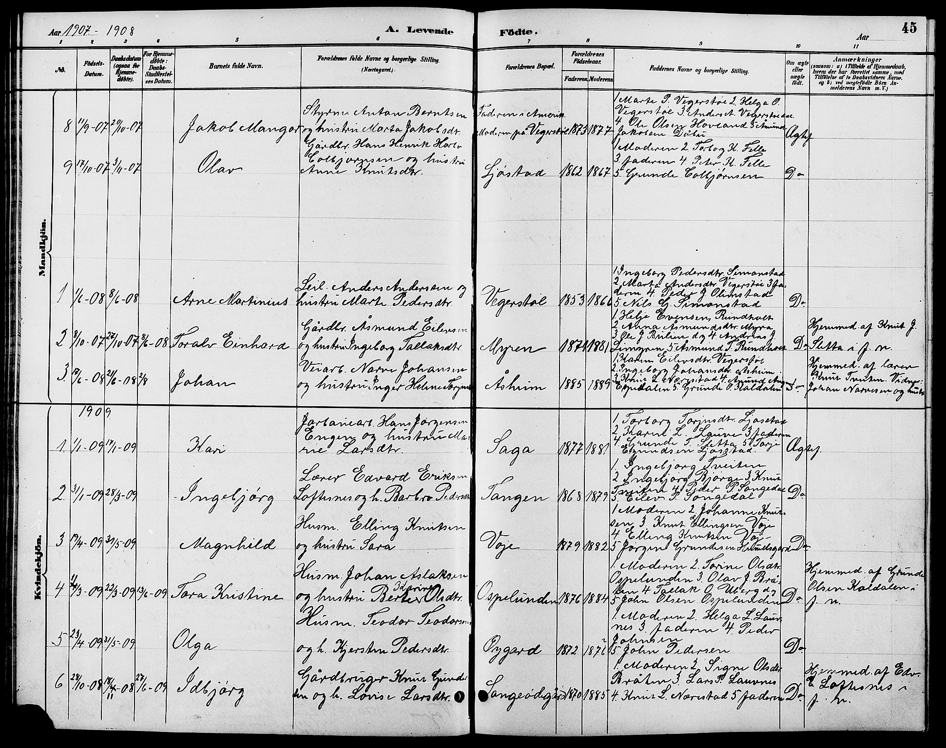 Gjerstad sokneprestkontor, AV/SAK-1111-0014/F/Fb/Fbb/L0004: Parish register (copy) no. B 4, 1890-1910, p. 45