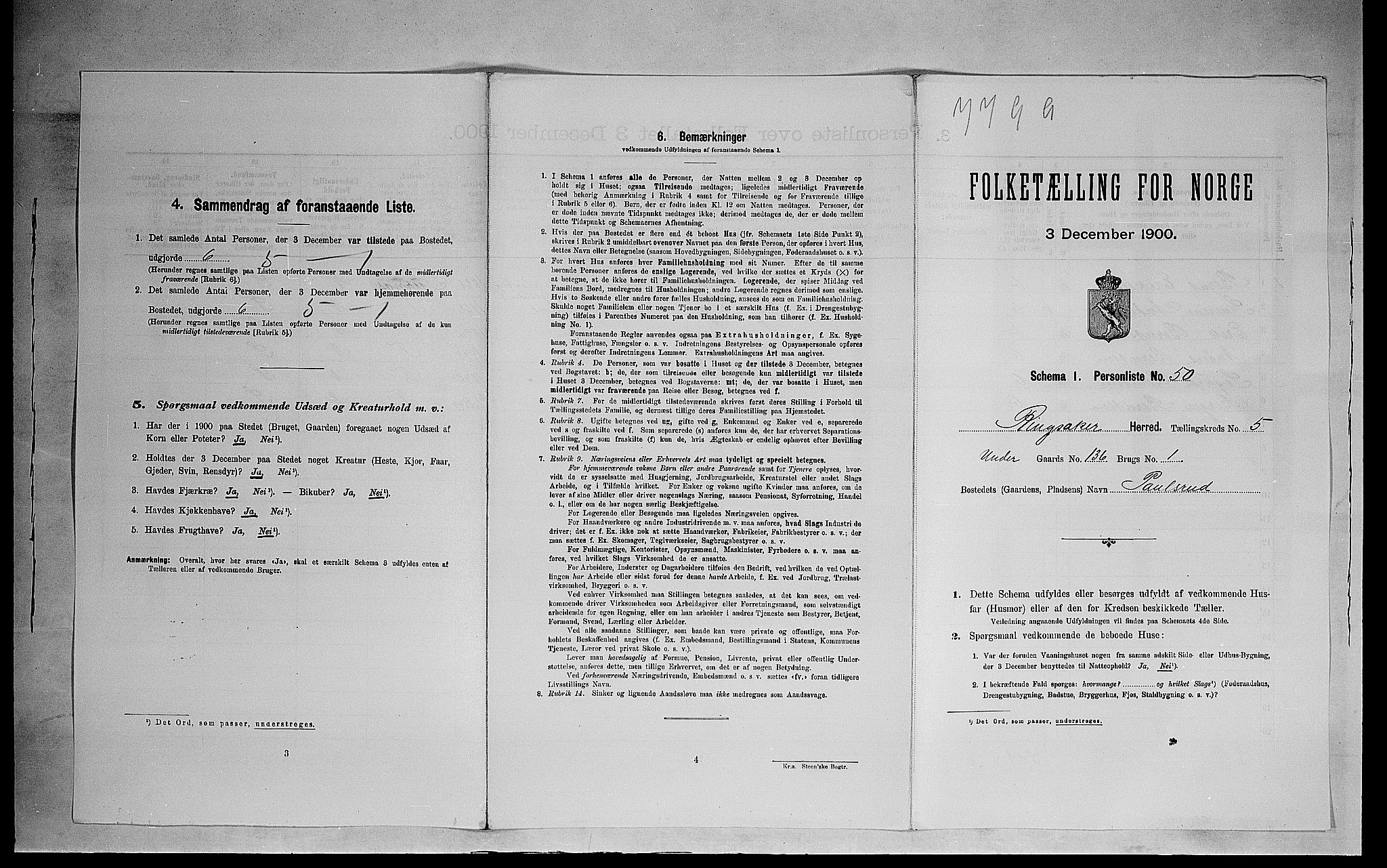 SAH, 1900 census for Ringsaker, 1900, p. 1141